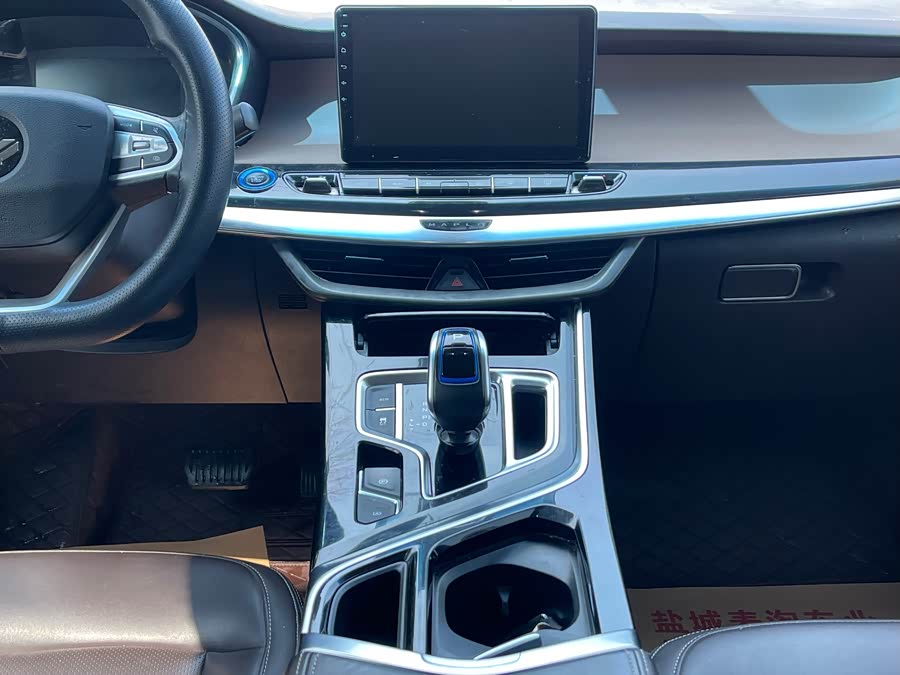 睿蓝汽车 枫叶80v 2020 汽车图片 #15