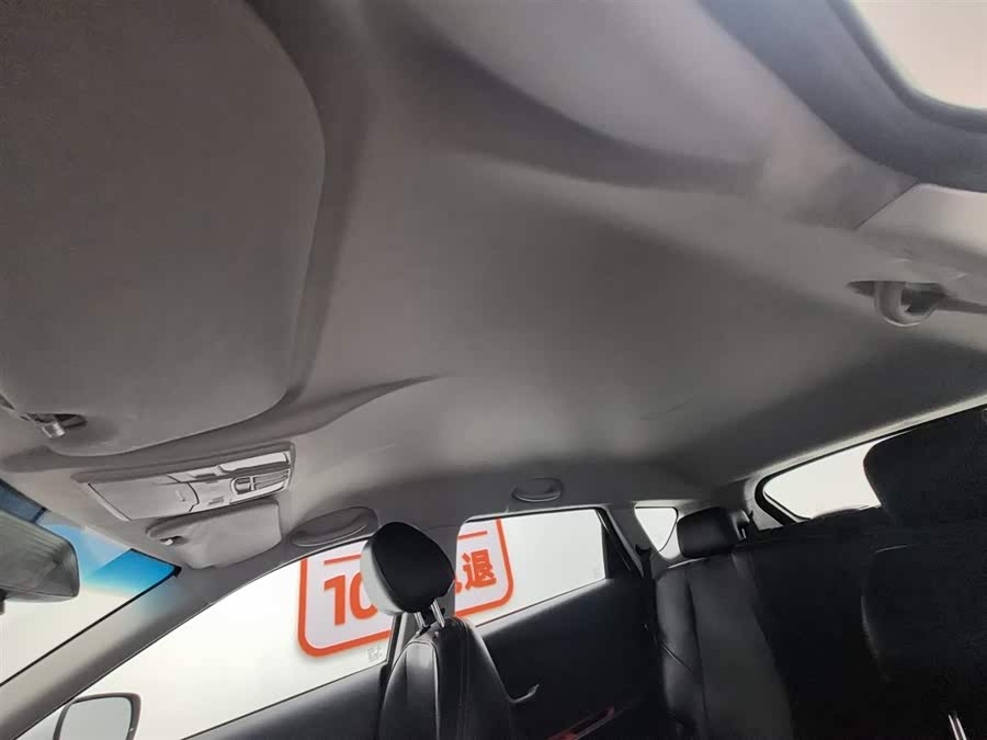 X70M 2020 car image #15
