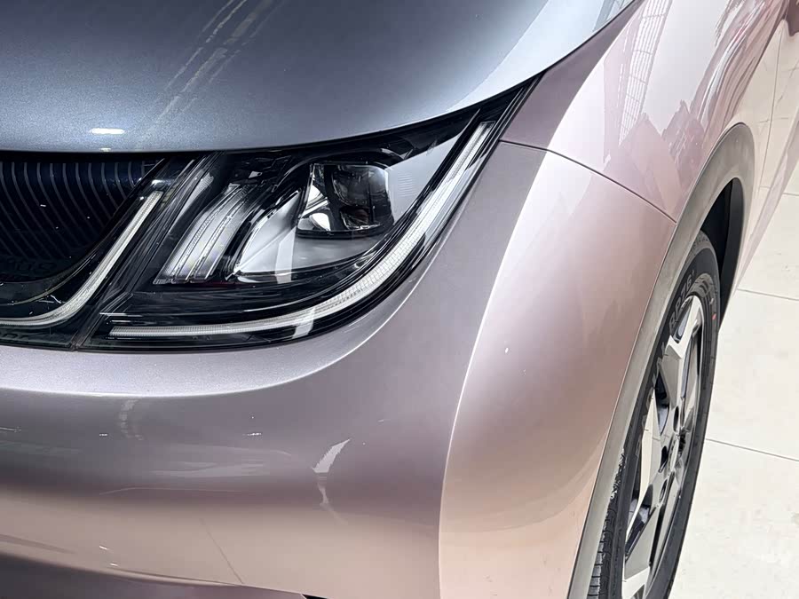 BYD Dolphin 2022 imagem de carro #15