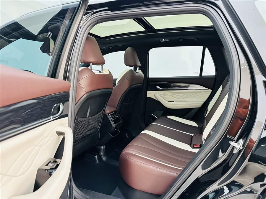 GEELY Monjaro 2022 car image #15