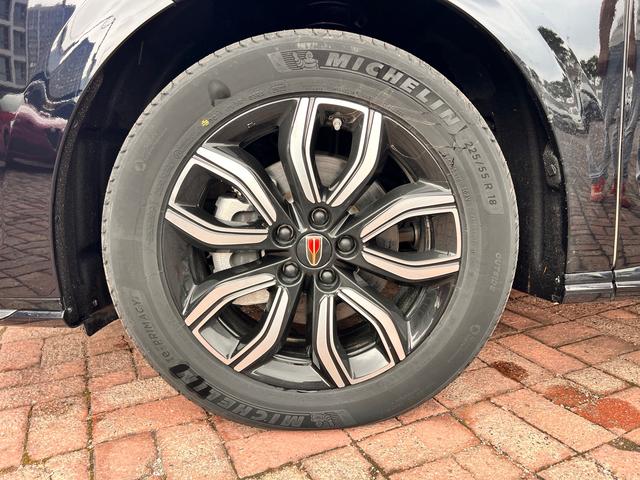 HongQi HQ9 2023 car image #15