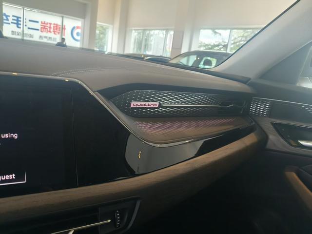 Audi Q6 2023 imagem de carro #15