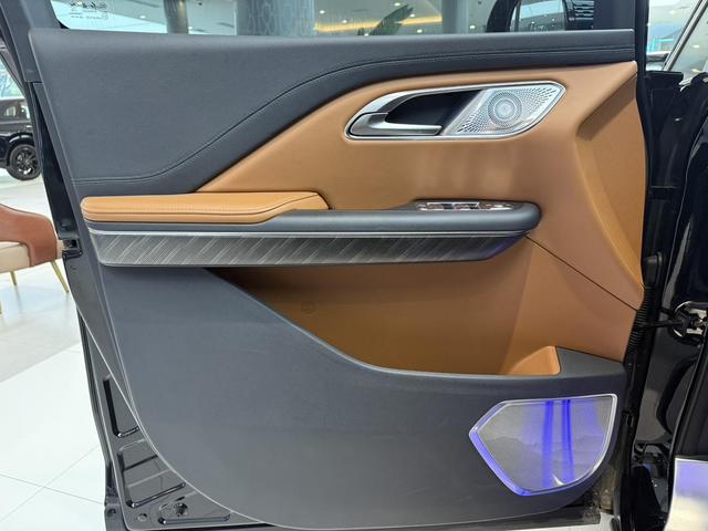 HongQi HQ9 PHEV 2025 #15 HongQi HQ9 PHEV 2025 car image #15