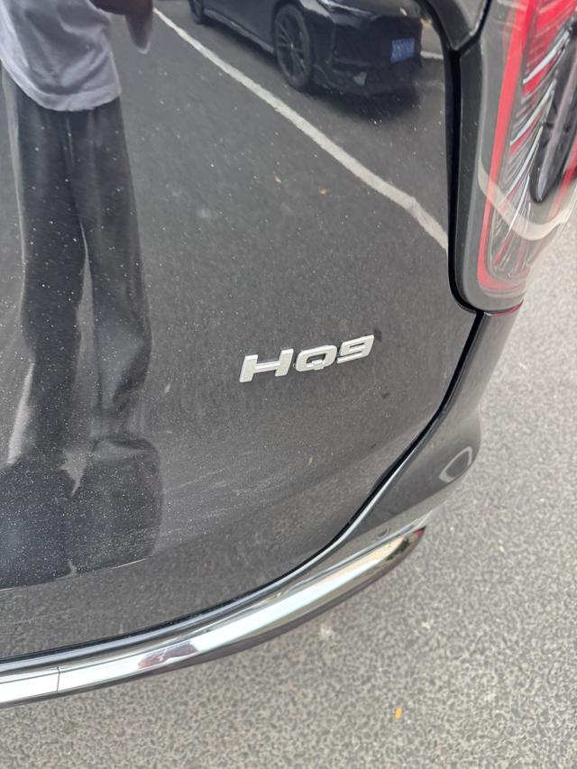 HongQi HQ9 2023 car image #15