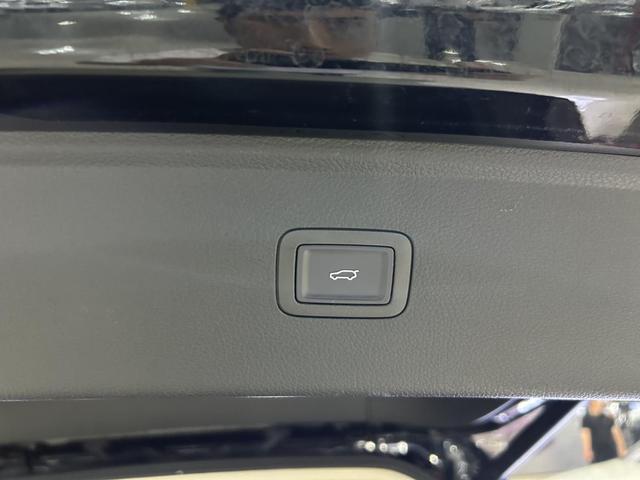 HongQi HS7 PHEV 2024 car image #15