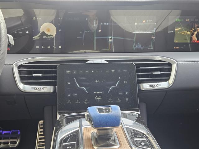 HongQi E-HS9 2022 car image #15