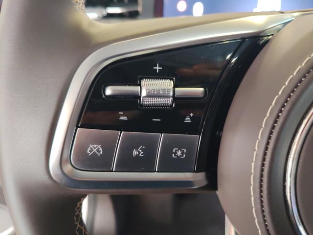 Tank 500 2024 car image #15