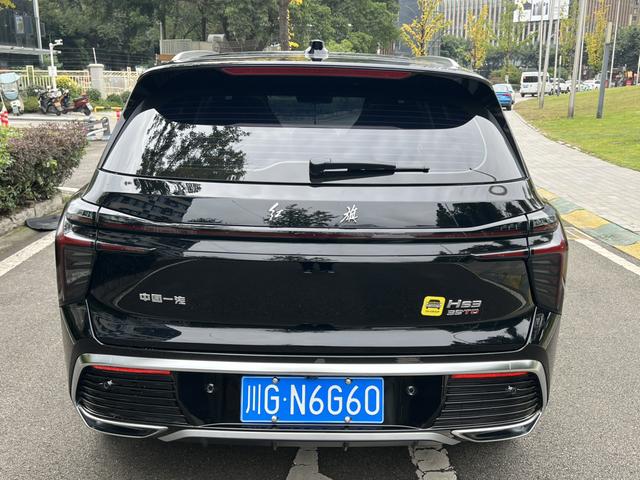 HongQi ShengShi 2023 #15 HongQi ShengShi 2023 car image #15