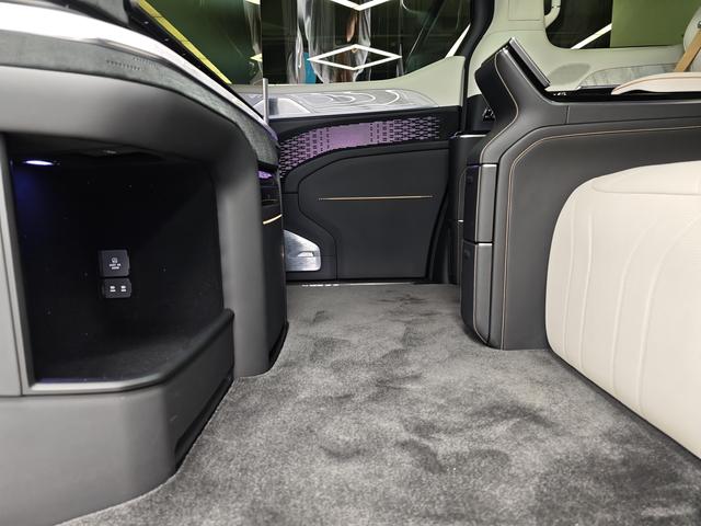 极氪 极氪009 2024 汽车图片 #15