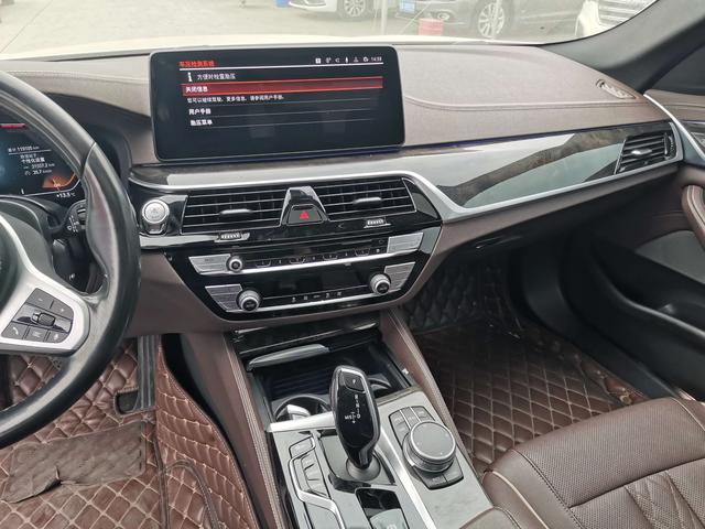 BMW 5 Series 2021 car image #15