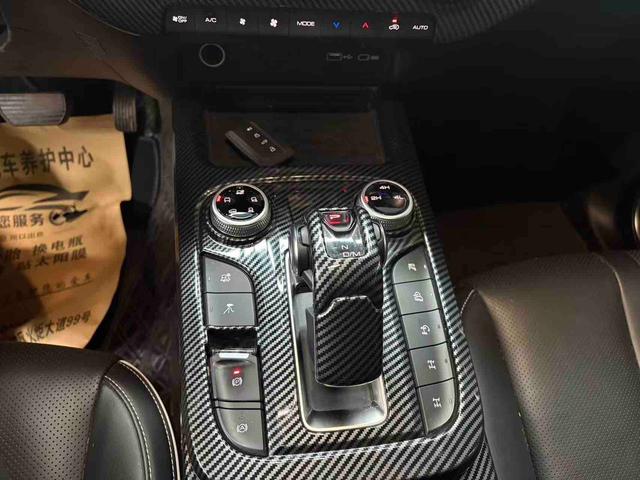 Tank 300 2022 car image #15