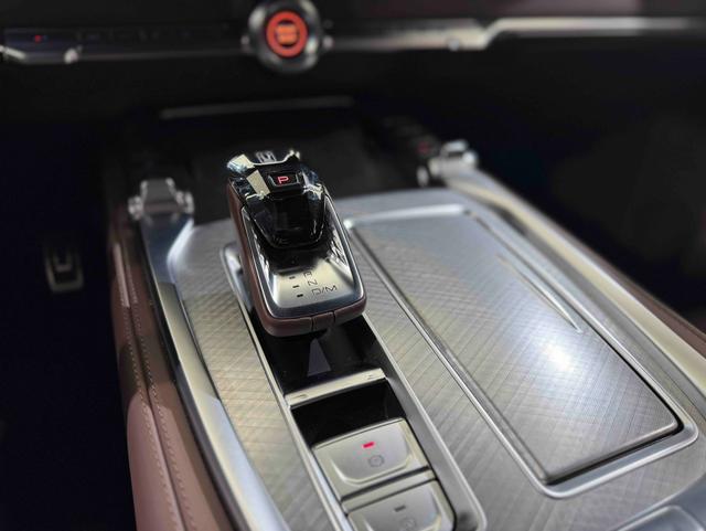 Tank 700 New Energy 2024 immagine di auto #15