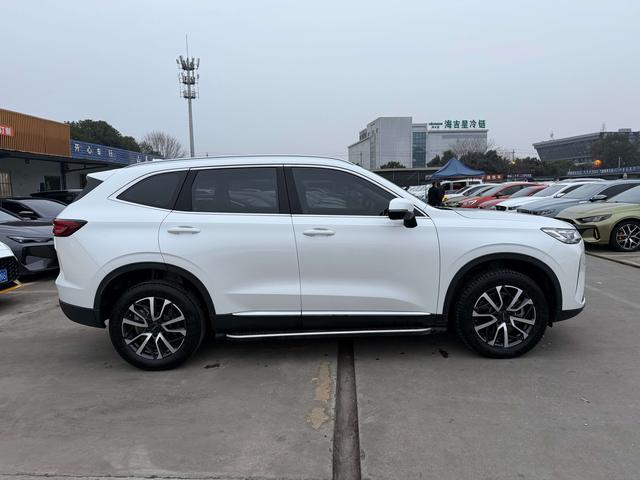 Haval 2021 immagine di auto #15