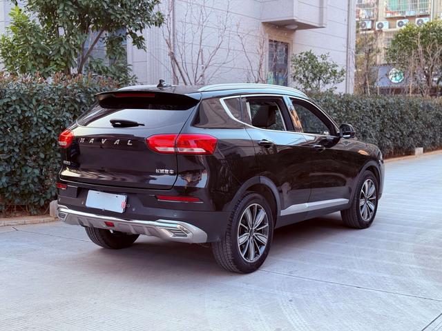 Haval H6 2020 car image #15