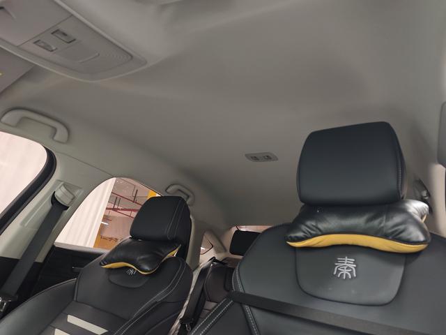 BYD Qin Pro New Energy 2019 car image #15