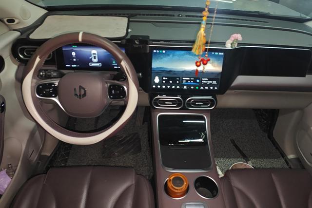 Leapmotor C11 2023 car image #15