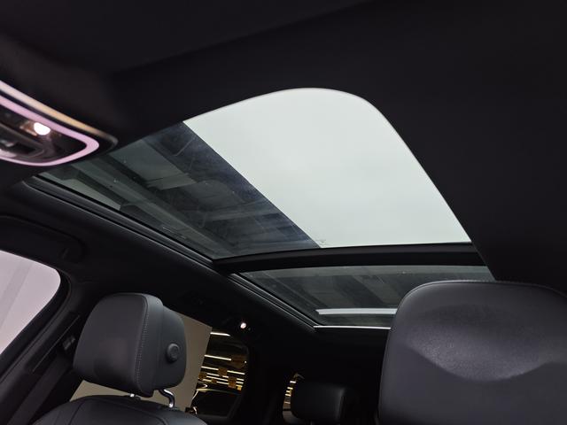 Denza 2021 imagem de carro #15