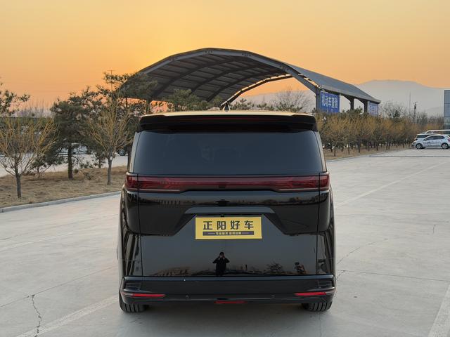 Denza D9 2023 imagem de carro #15