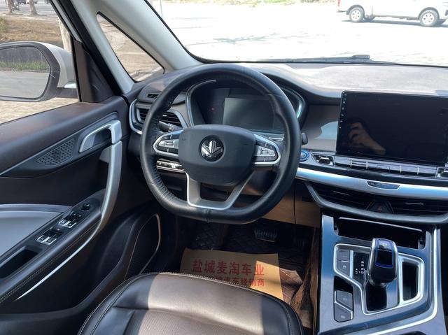 睿蓝汽车 枫叶80v 2020 汽车图片 #15