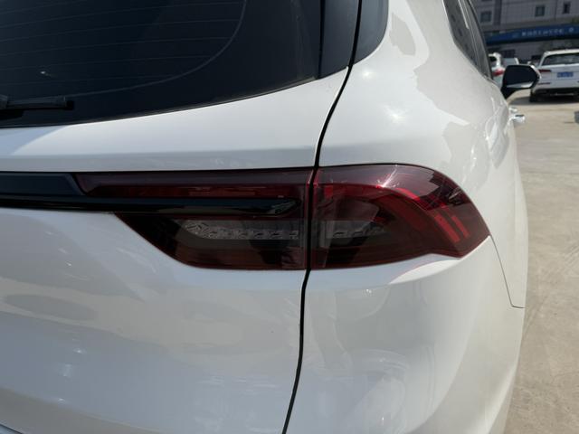 睿蓝汽车 睿蓝9 2024 汽车图片 #15