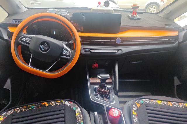 睿蓝汽车 睿蓝汽车X3 PRO 2022 汽车图片 #15