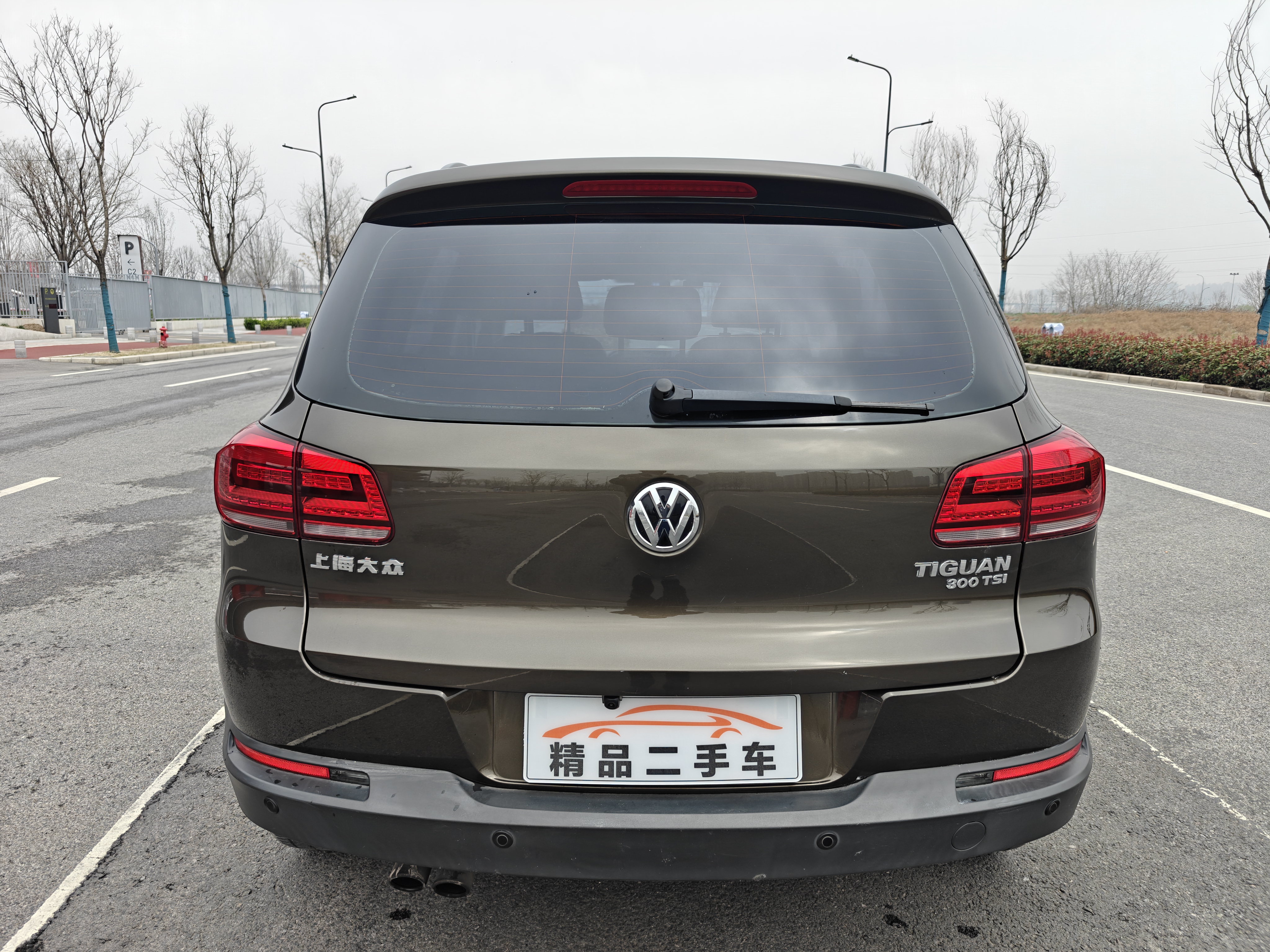 Volkswagen Tiguan 2016 immagine di auto #15