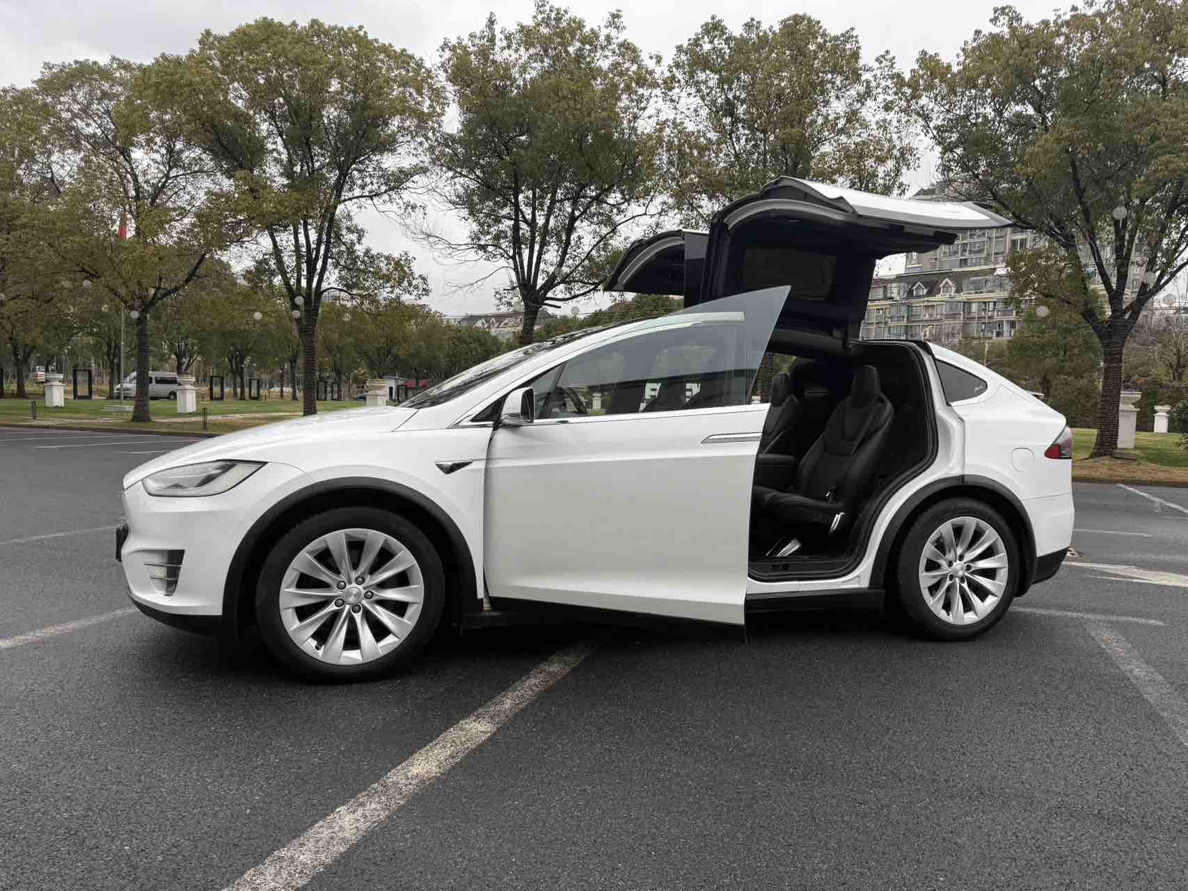 特斯拉 Model X 2018 汽车图片 #15