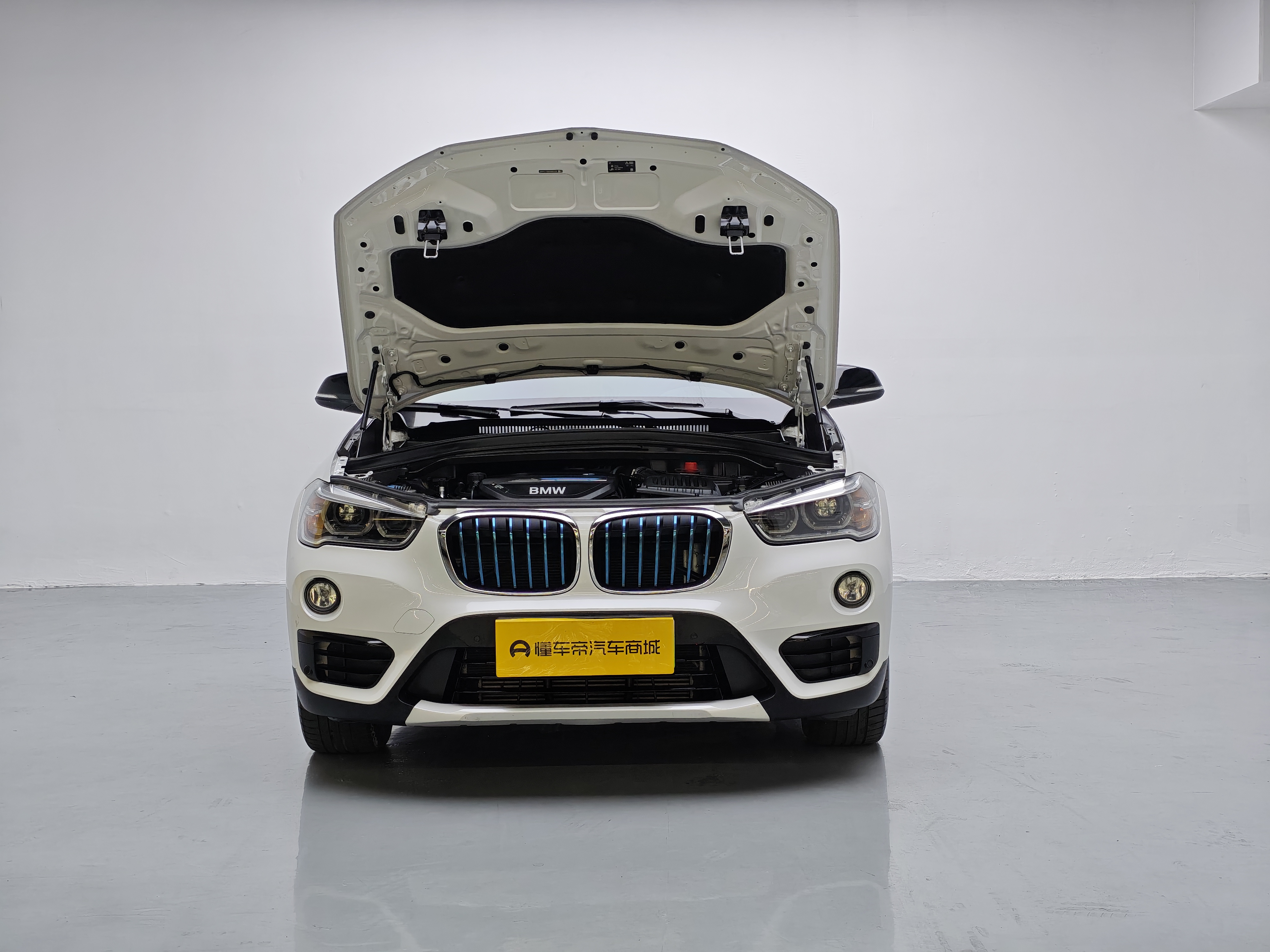 BMW X1 New Energy 2019 car image #15