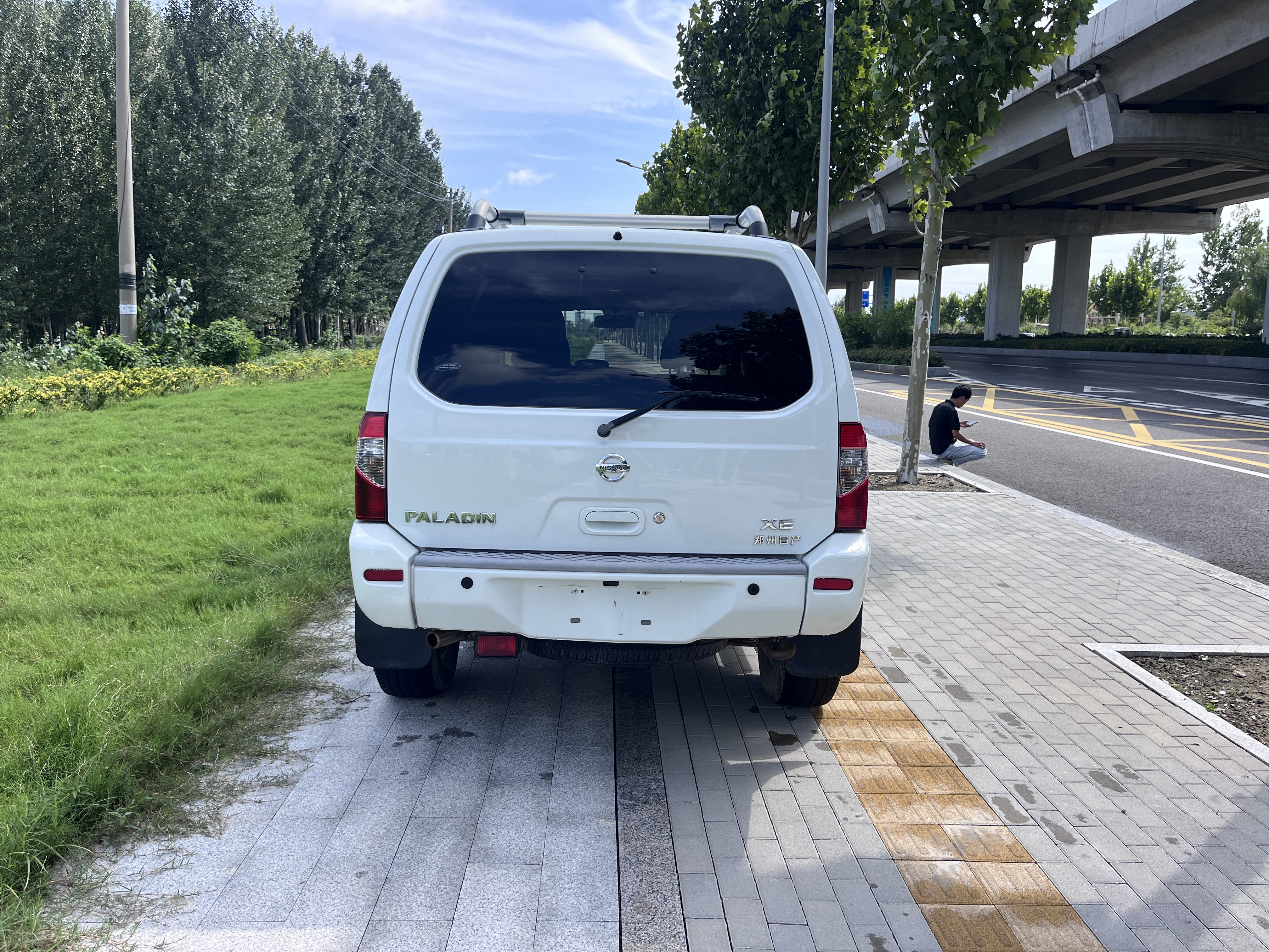 日产 日产帕拉丁 2009 汽车图片 #15