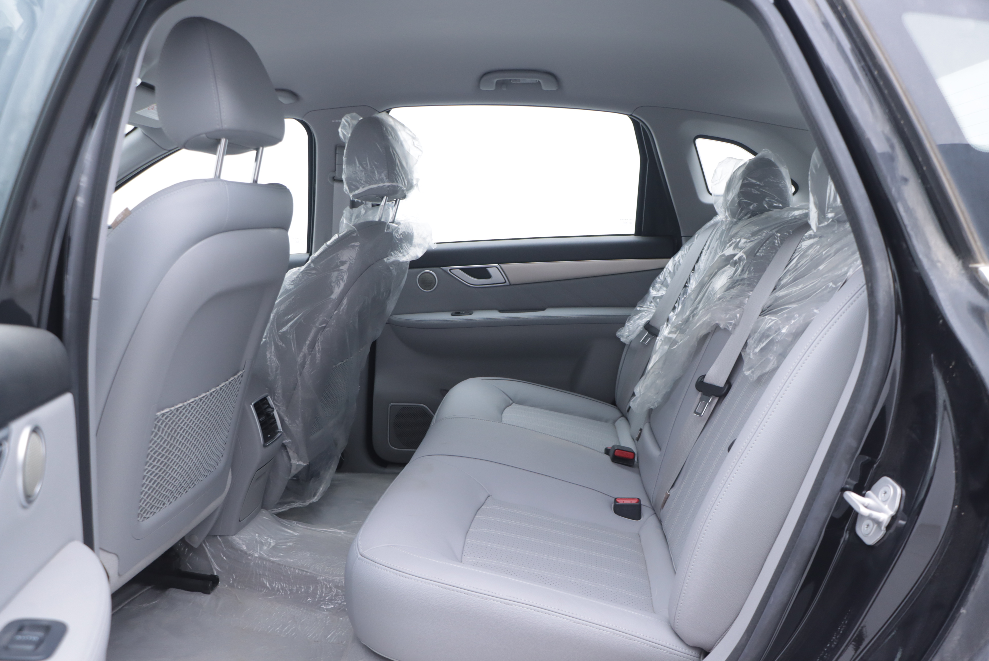 Denza 2019 car image #15