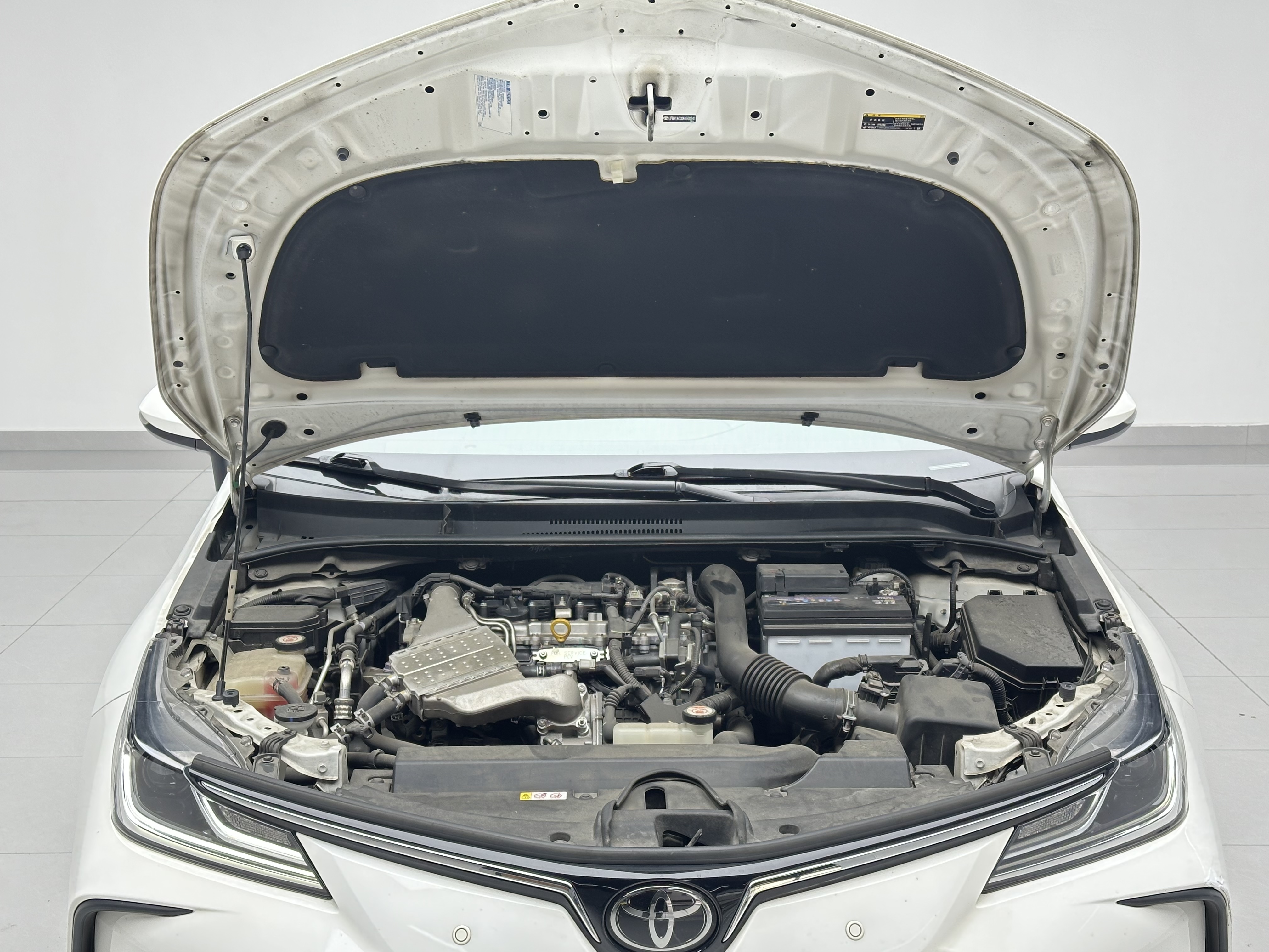 Corolla 2019 #15 Corolla 2019 car image #15