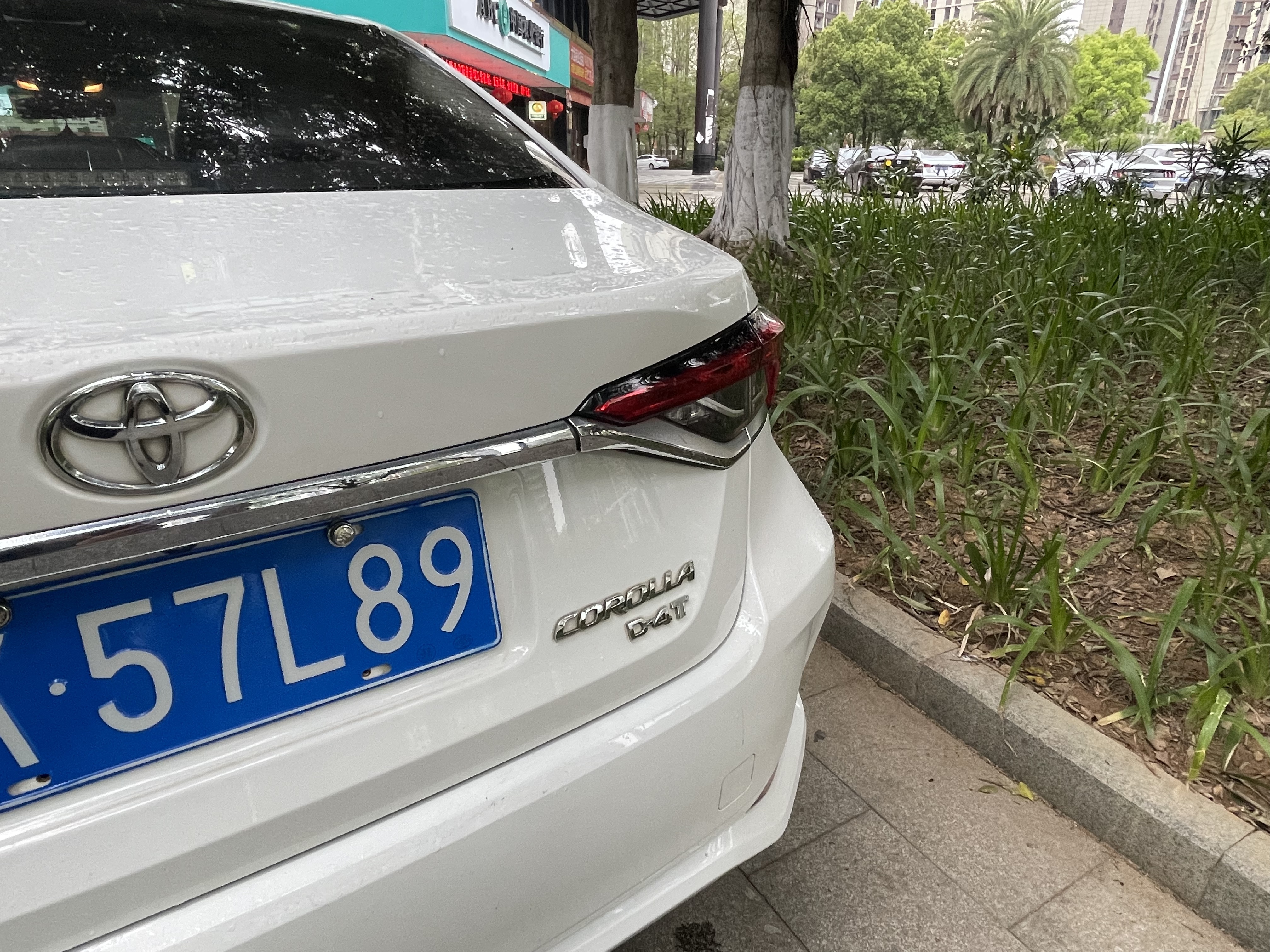 Corolla 2021 car image #15