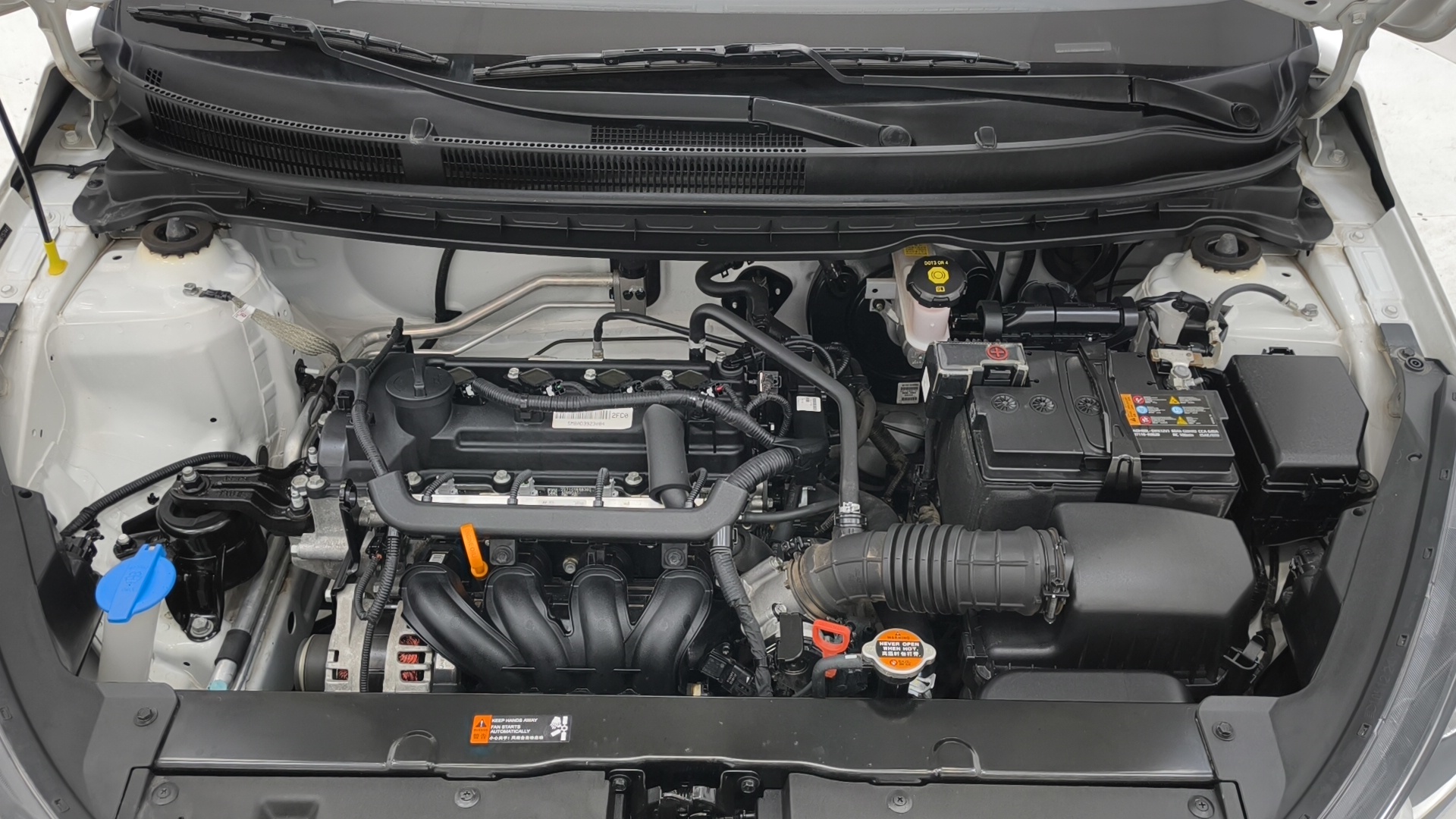 Kia Pegas 2021 image de voiture #15