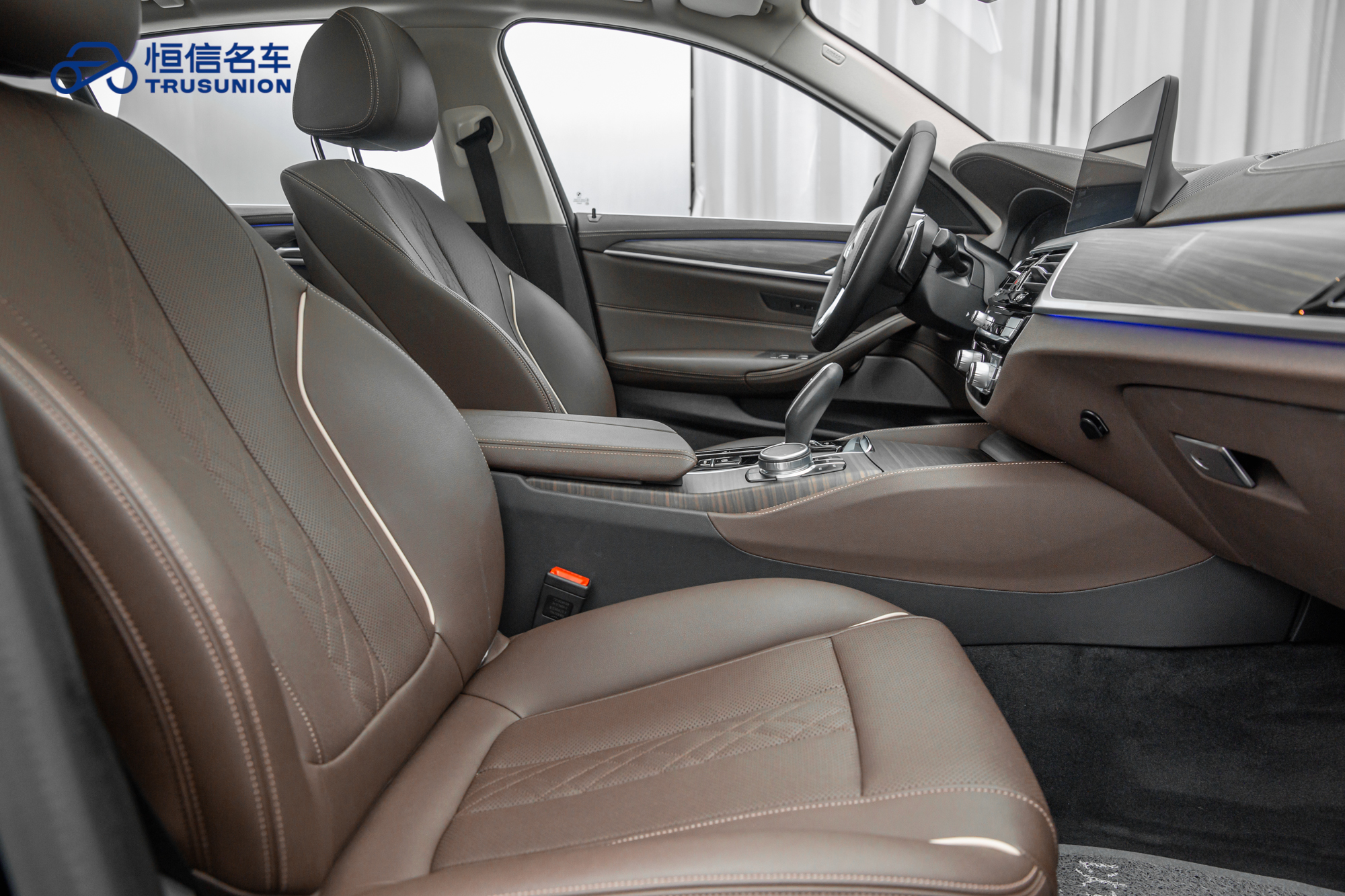 BMW 5 Series 2021 car image #15