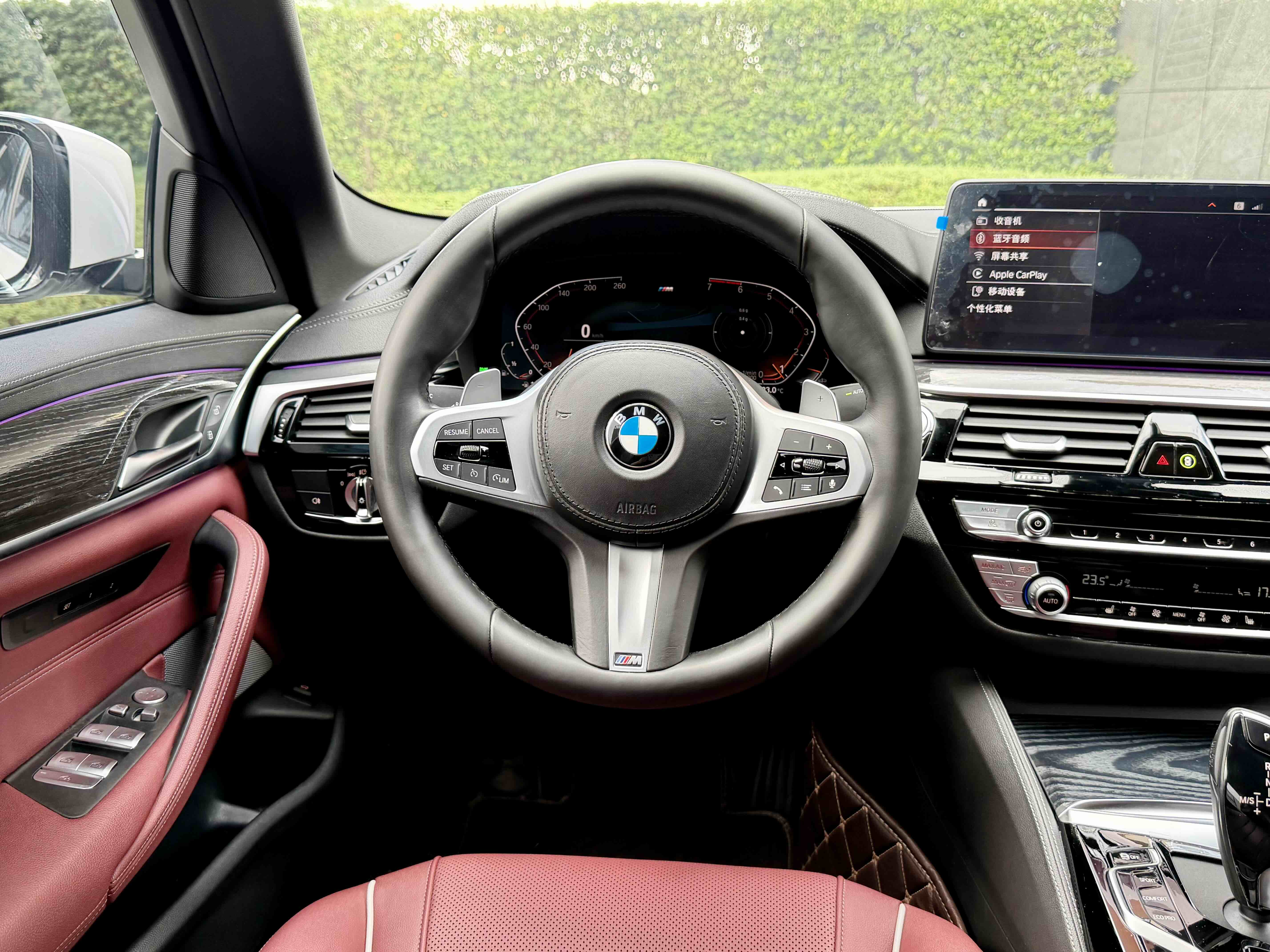 BMW 5 Series 2021 car image #15