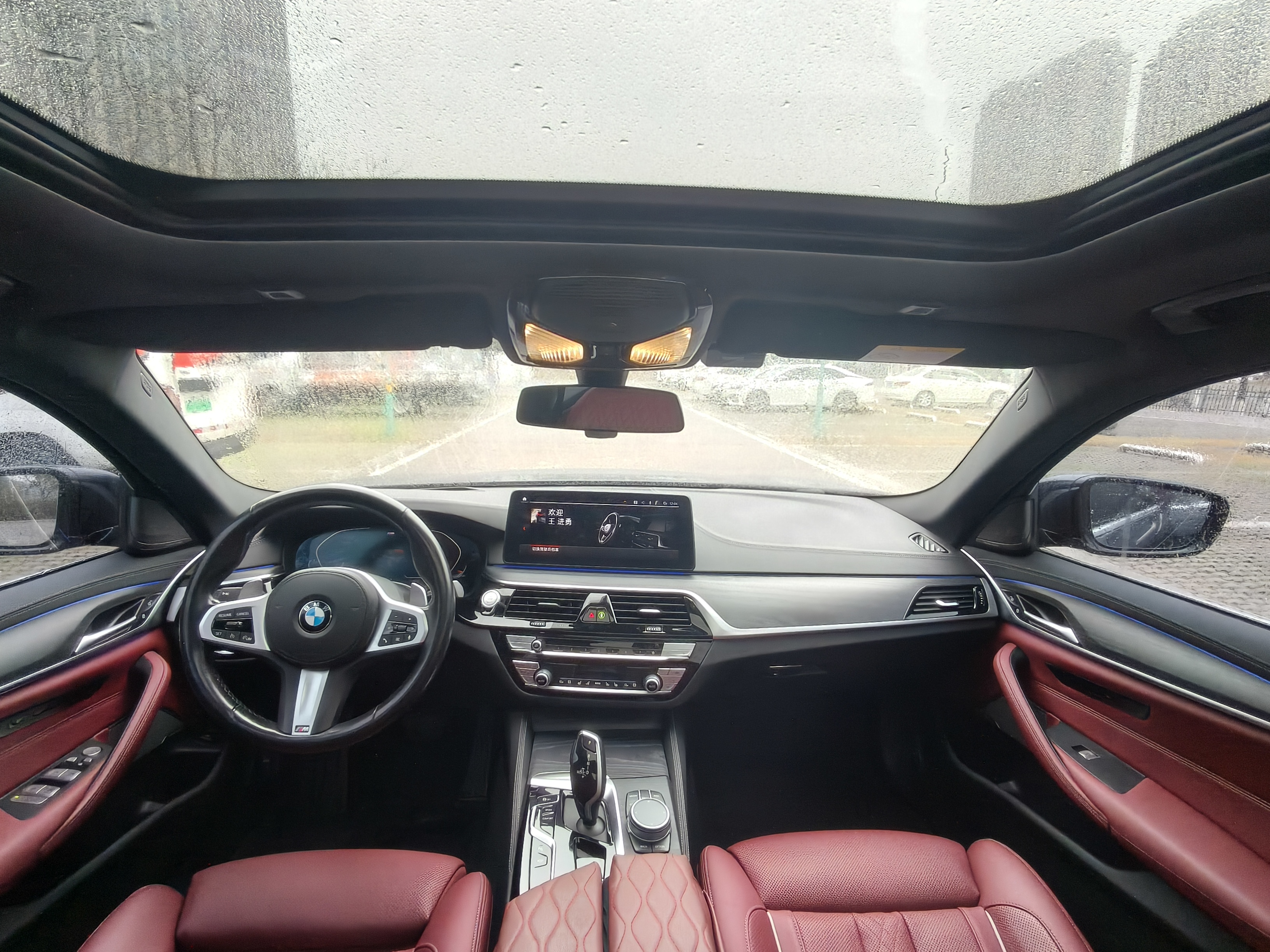 BMW 5 Series 2021 car image #15