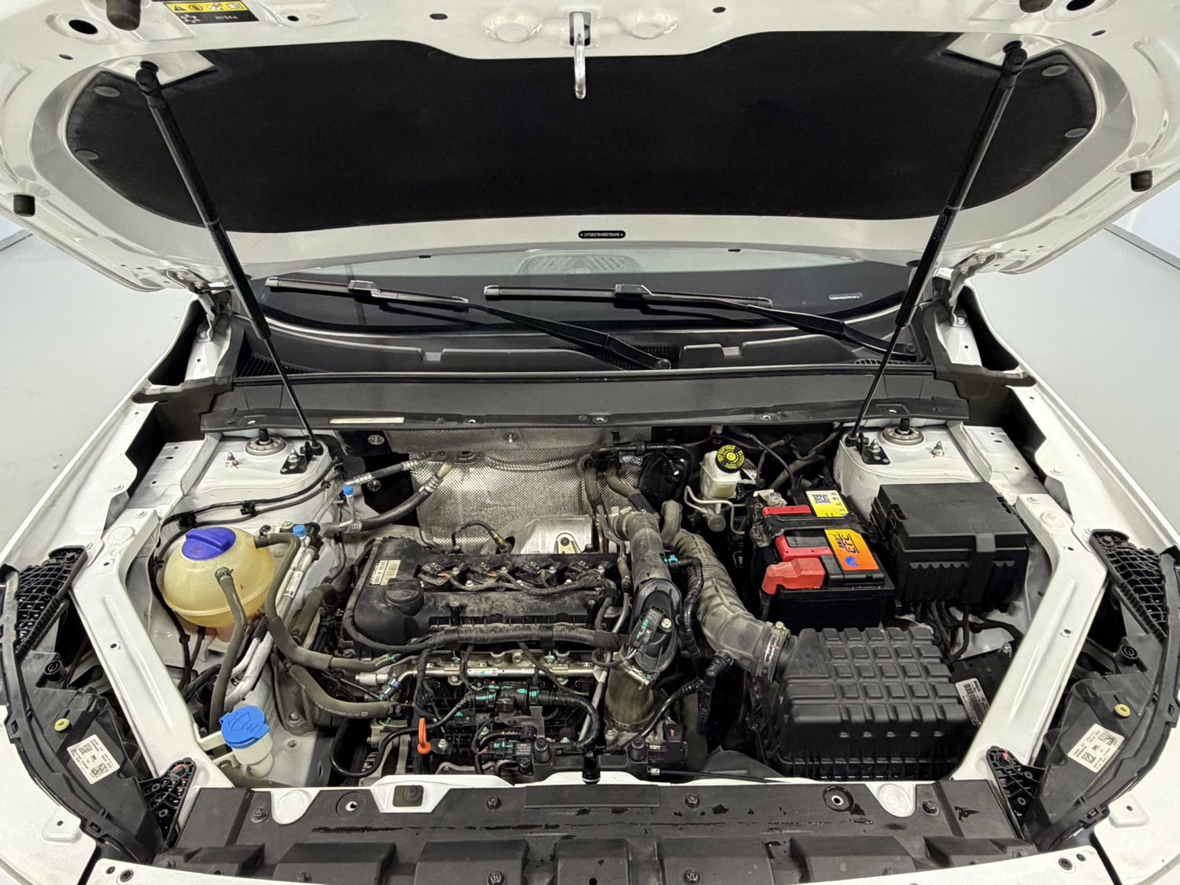 Exceed Chasing Wind 2022 car image #15