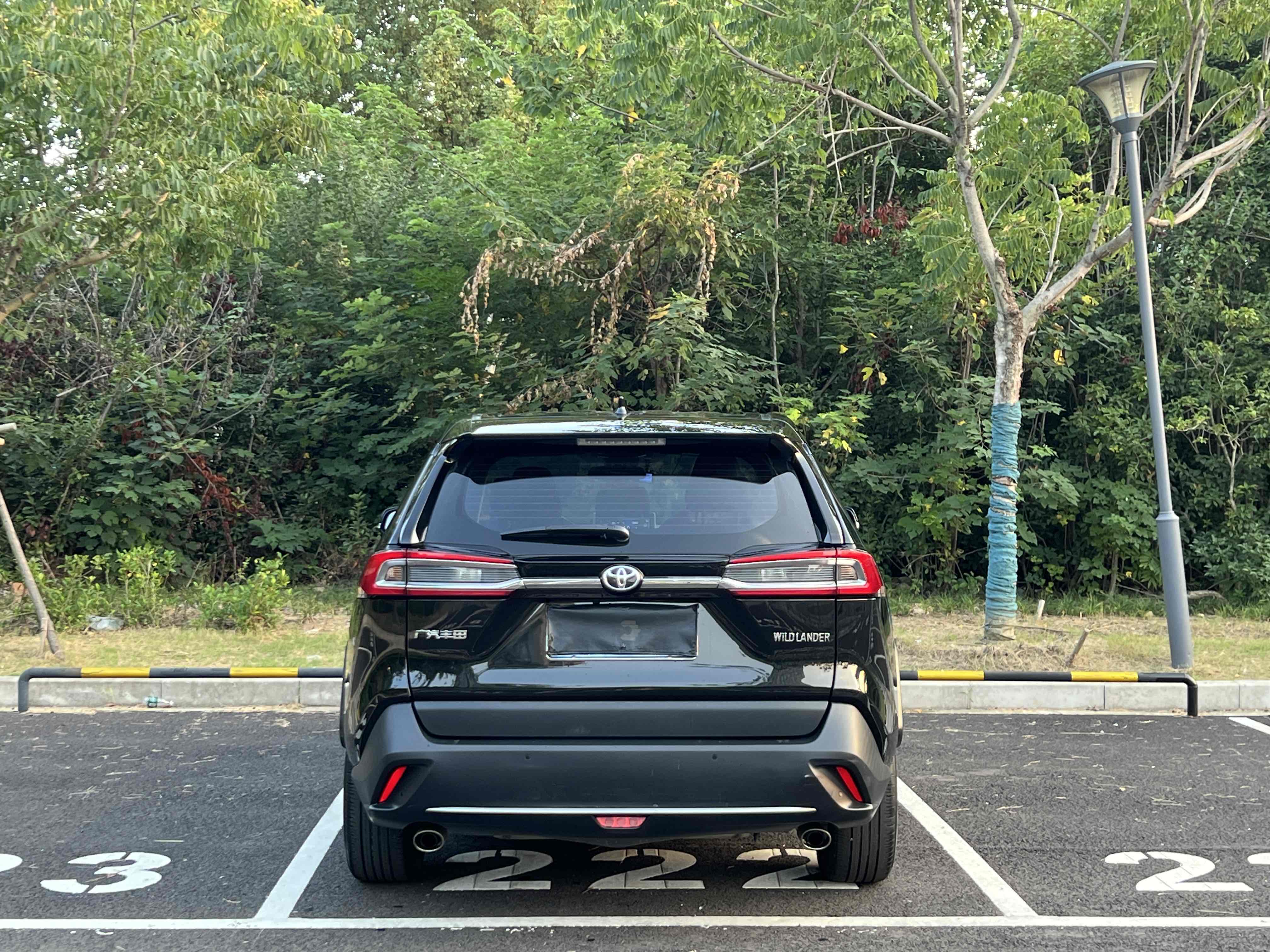 Toyota Wildlander 2022 imagem de carro #15