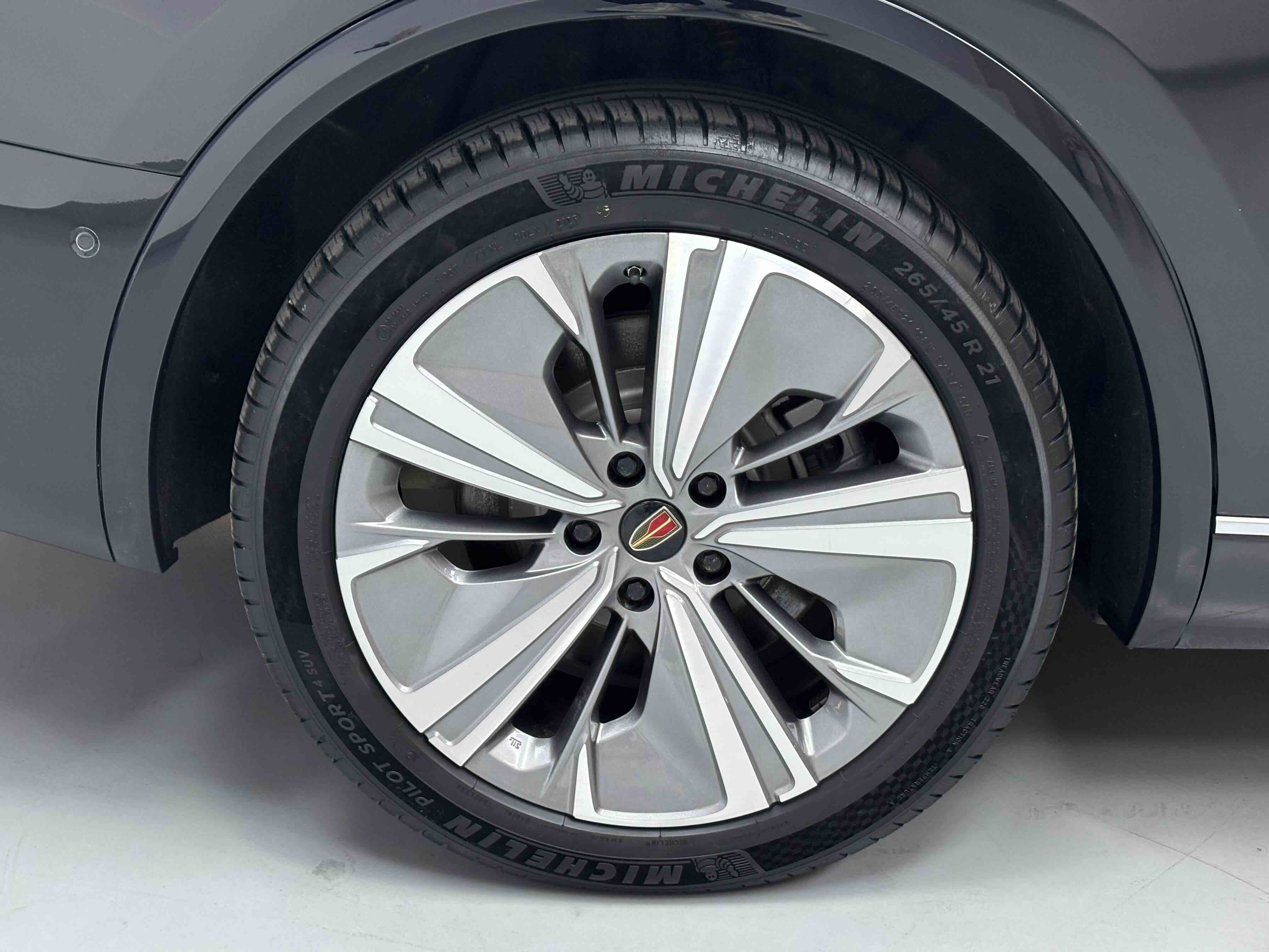 HongQi E-HS9 2023 imagem de carro #15