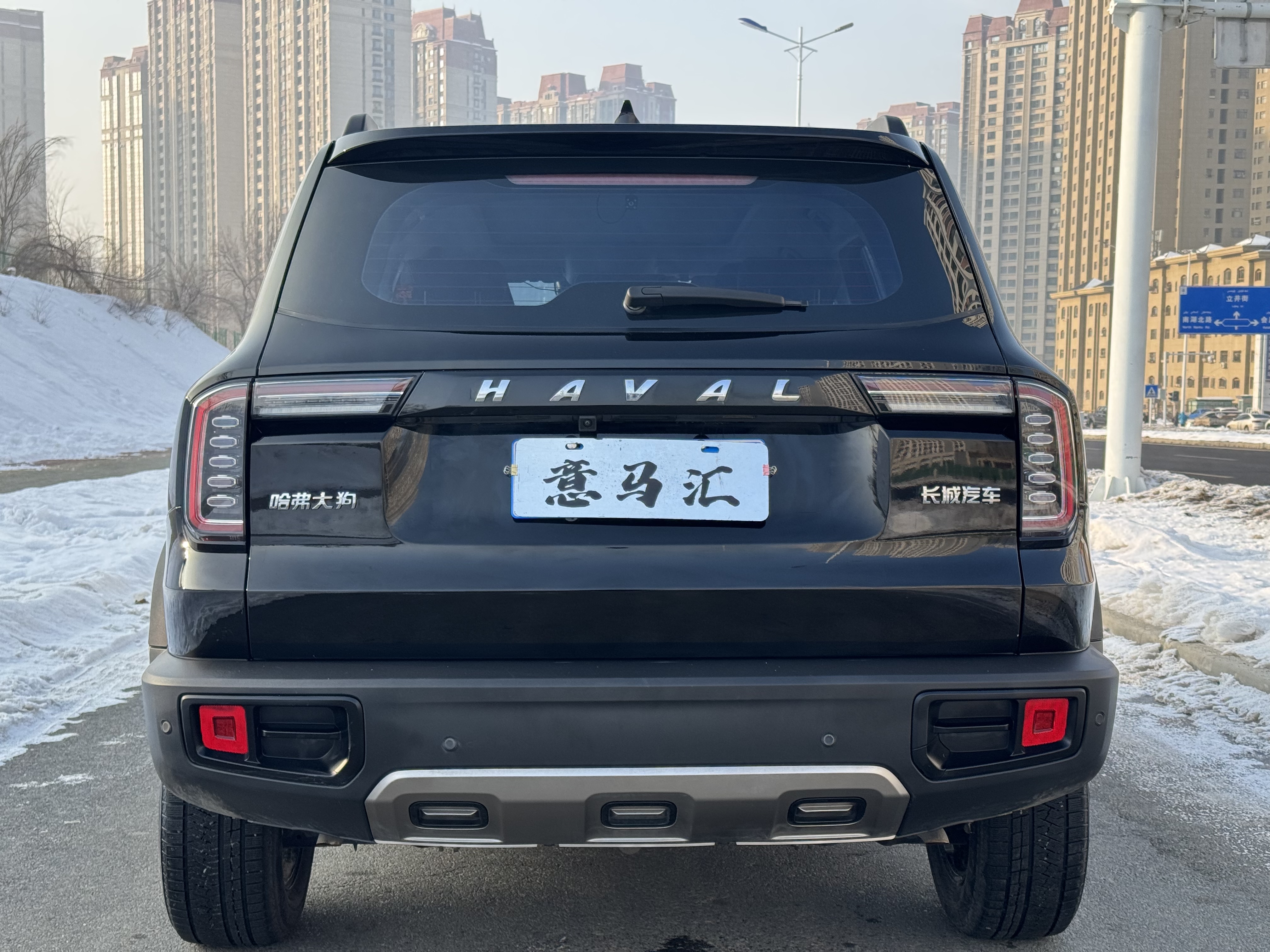 Haval X Dog / Dargo 2023 #15 Haval X Dog / Dargo 2023 car image #15