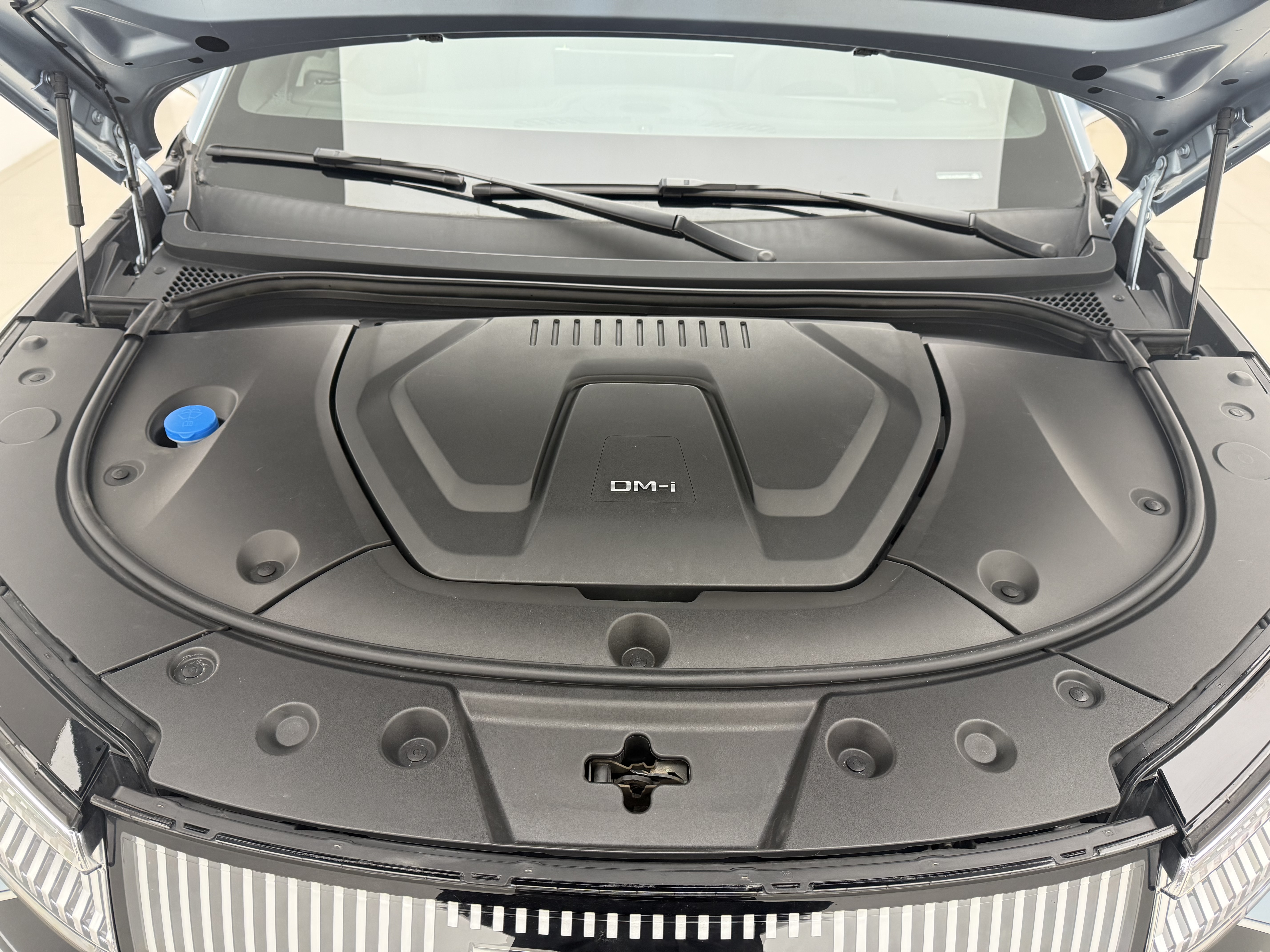 BYD Frigate 07 2024 car image #15