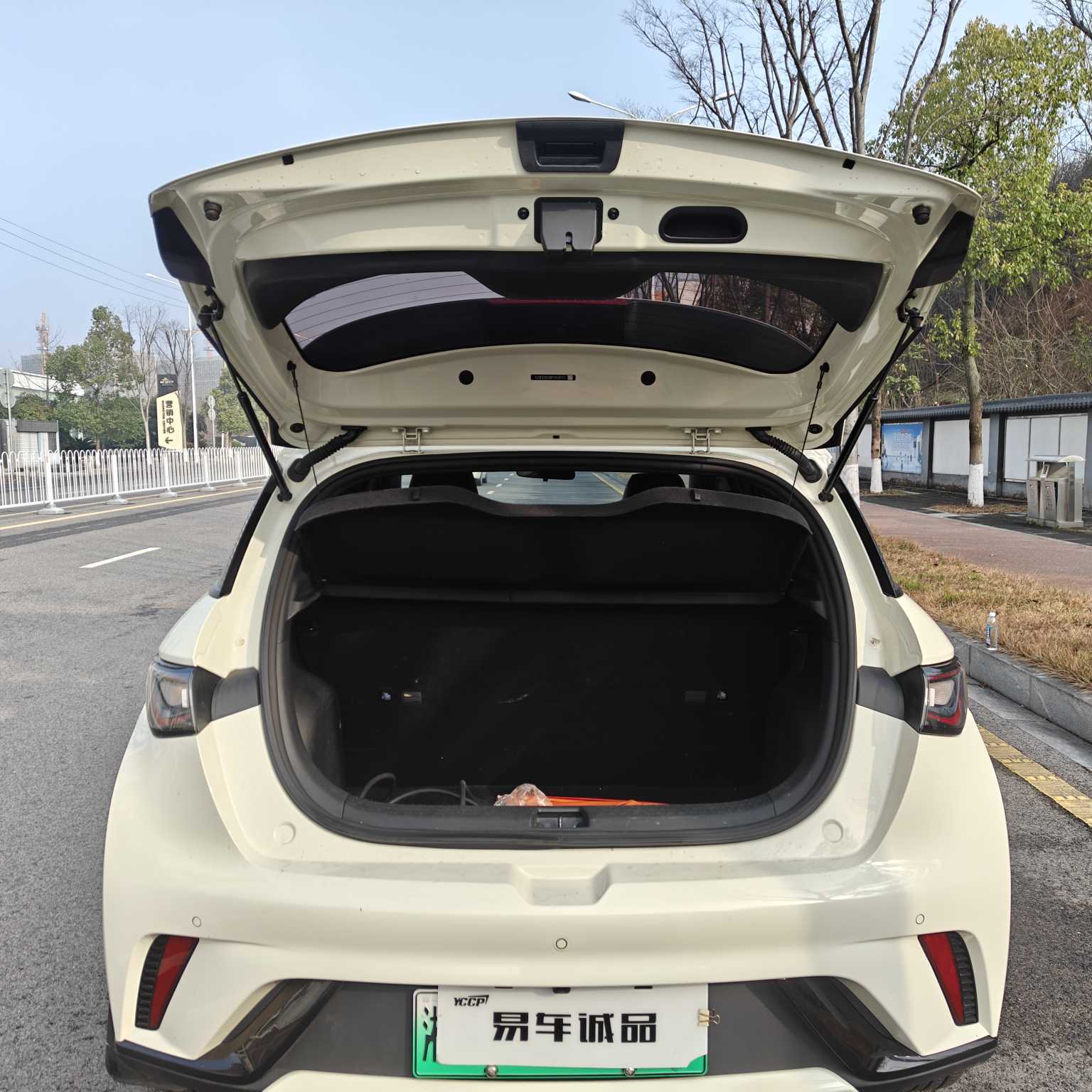 BYD Dolphin 2024 #15 BYD Dolphin 2024 car image #15