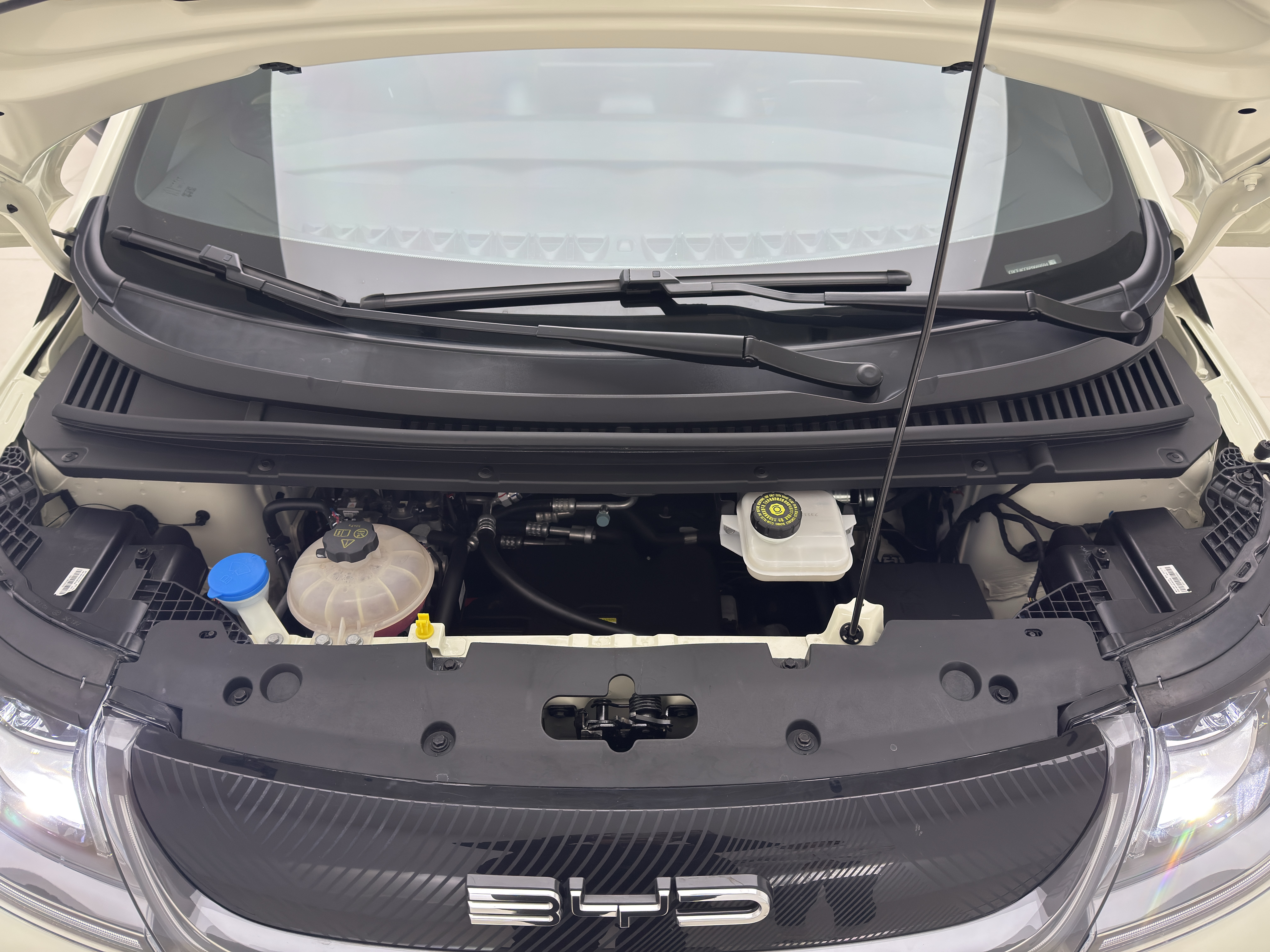 BYD Dolphin 2024 car image #15