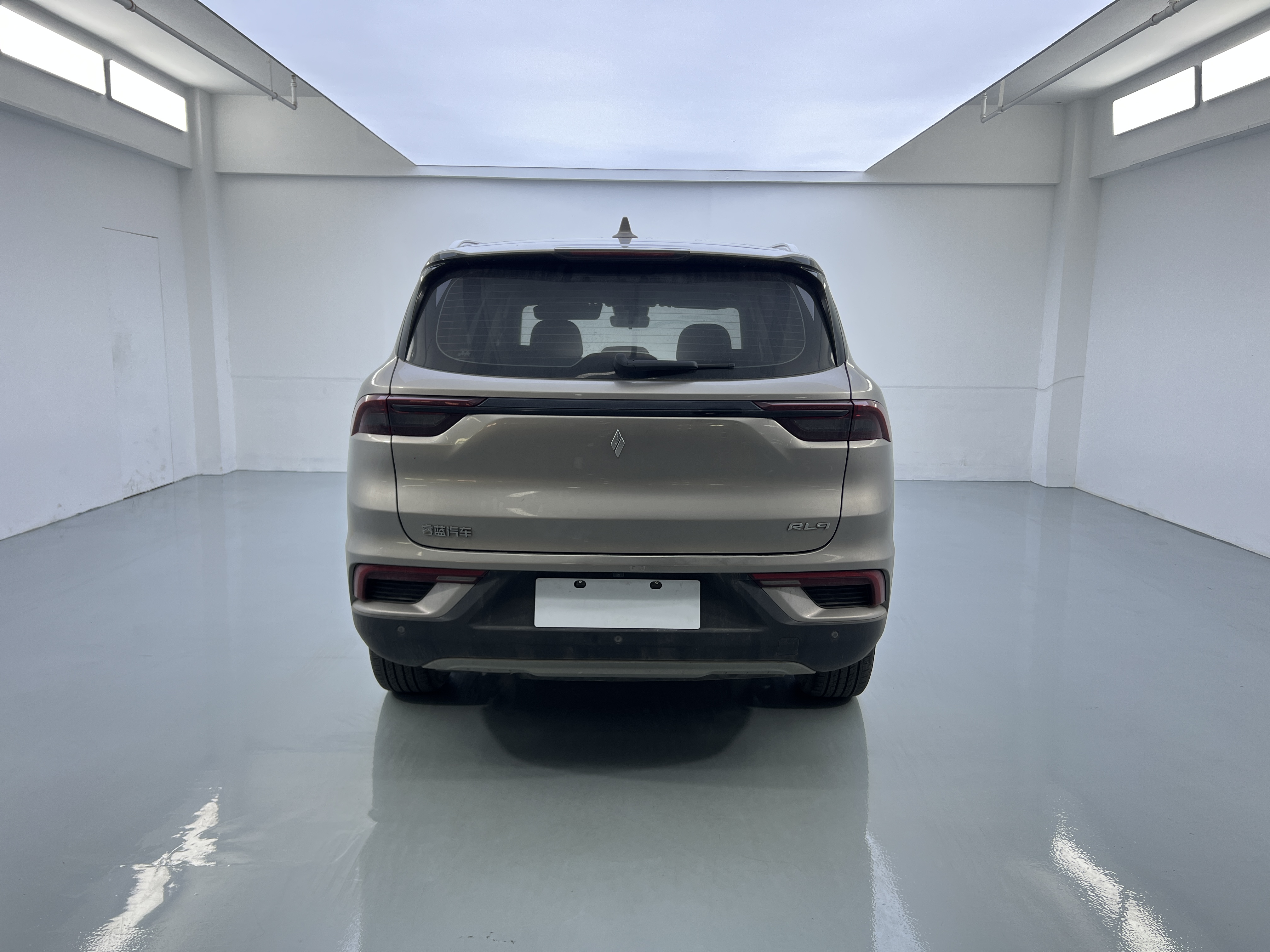 睿蓝汽车 睿蓝9 2023 汽车图片 #15