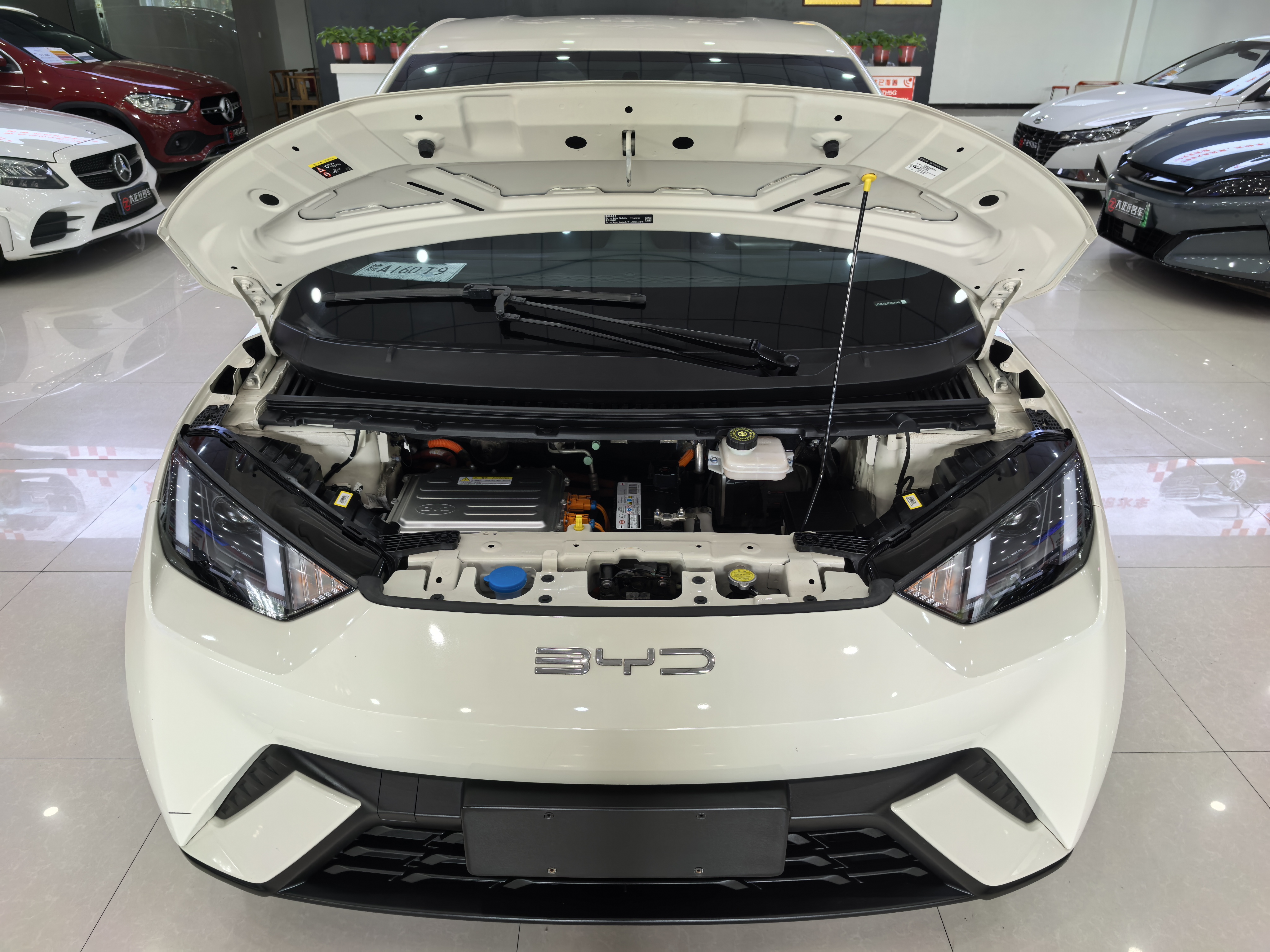 BYD Seagull 2023 imagen de coche #15