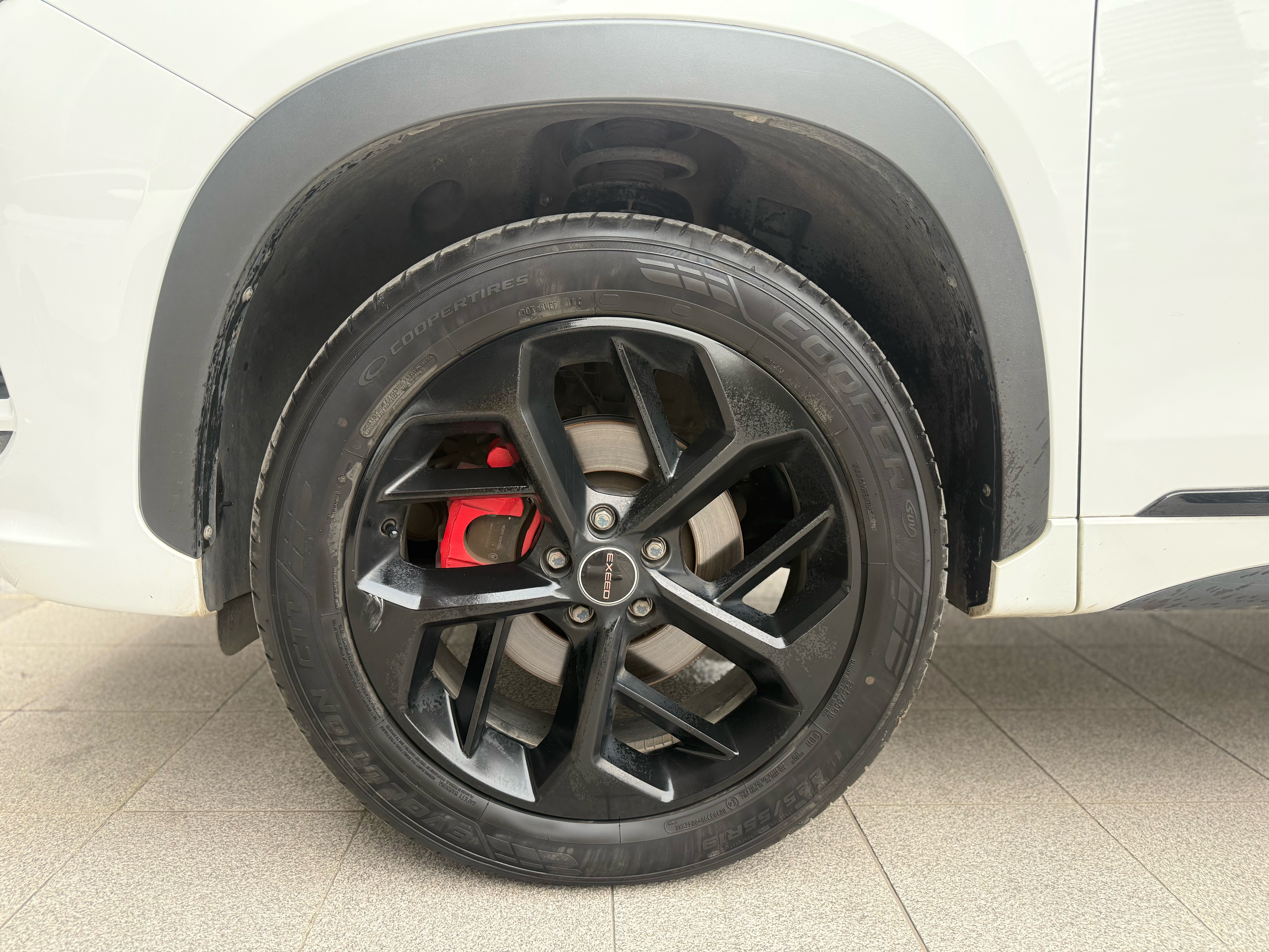 Exceed Chasing Wind 2024 #15 Exceed Chasing Wind 2024 car image #15