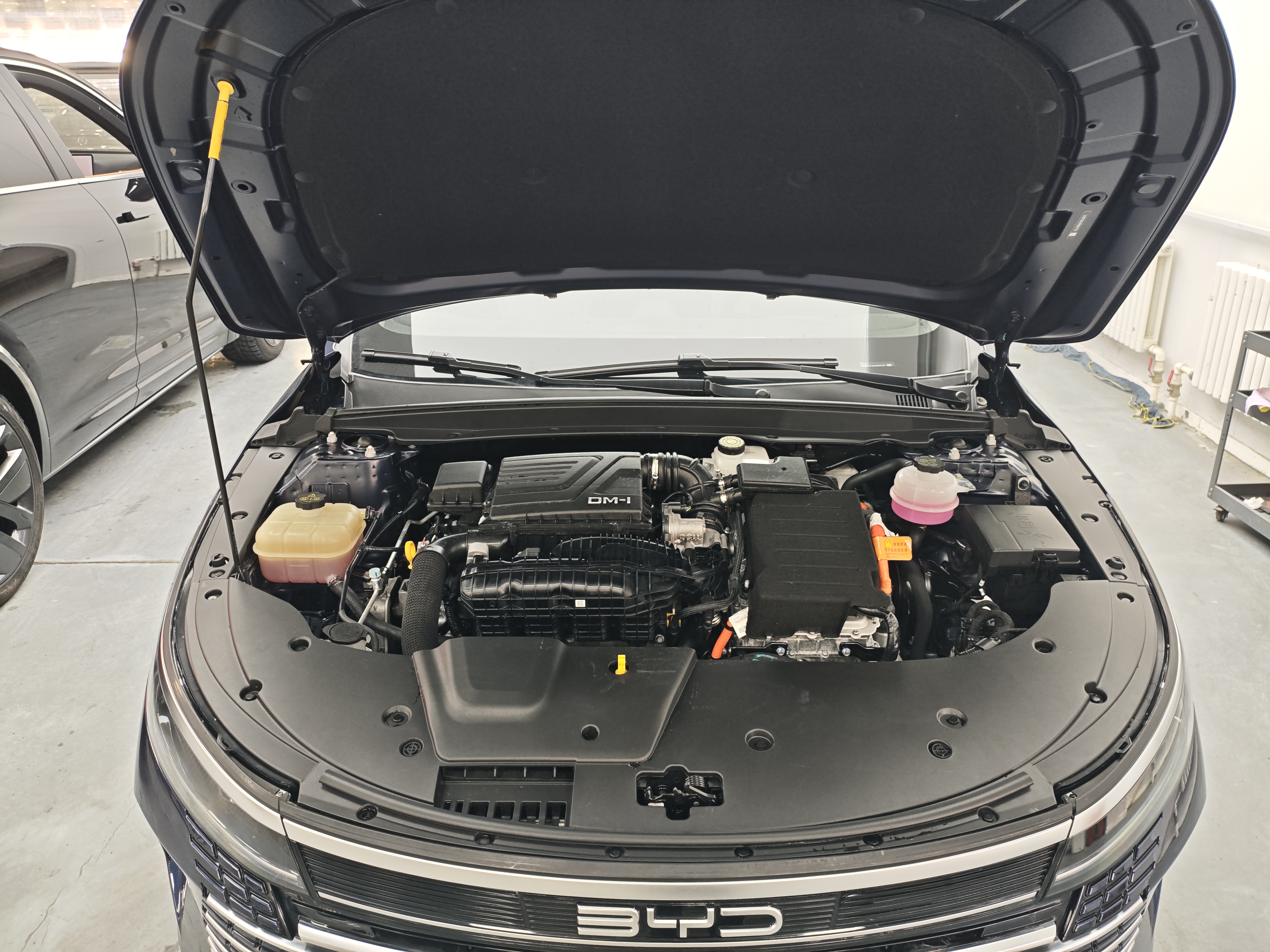 BYD Destroyer 05 2024 imagen de coche #15