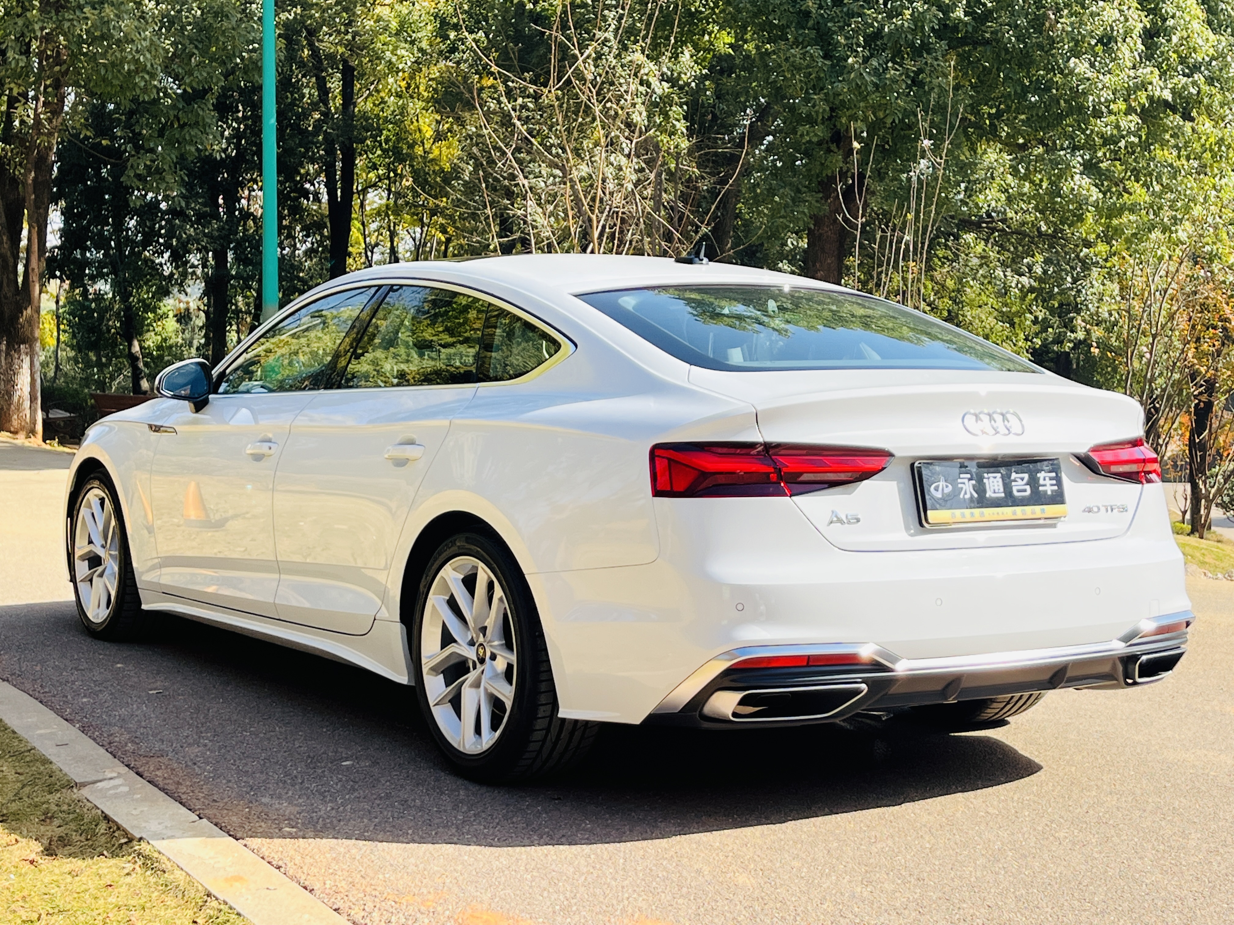 Audi A5 (Imported) 2024 car image #15