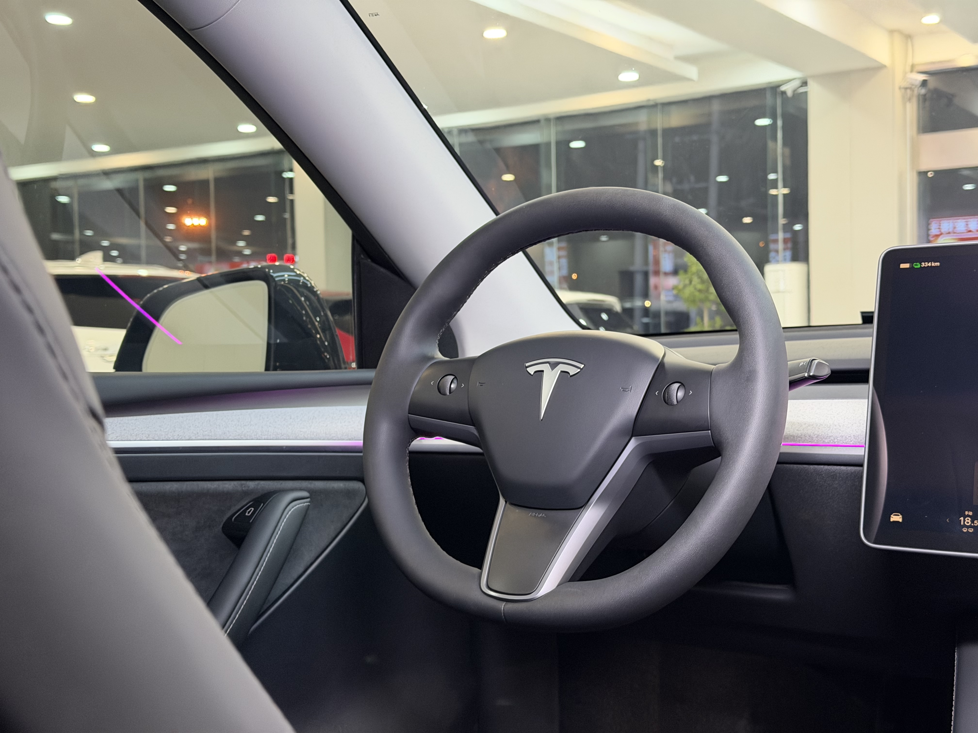 Tesla Model Y 2024 car image #15