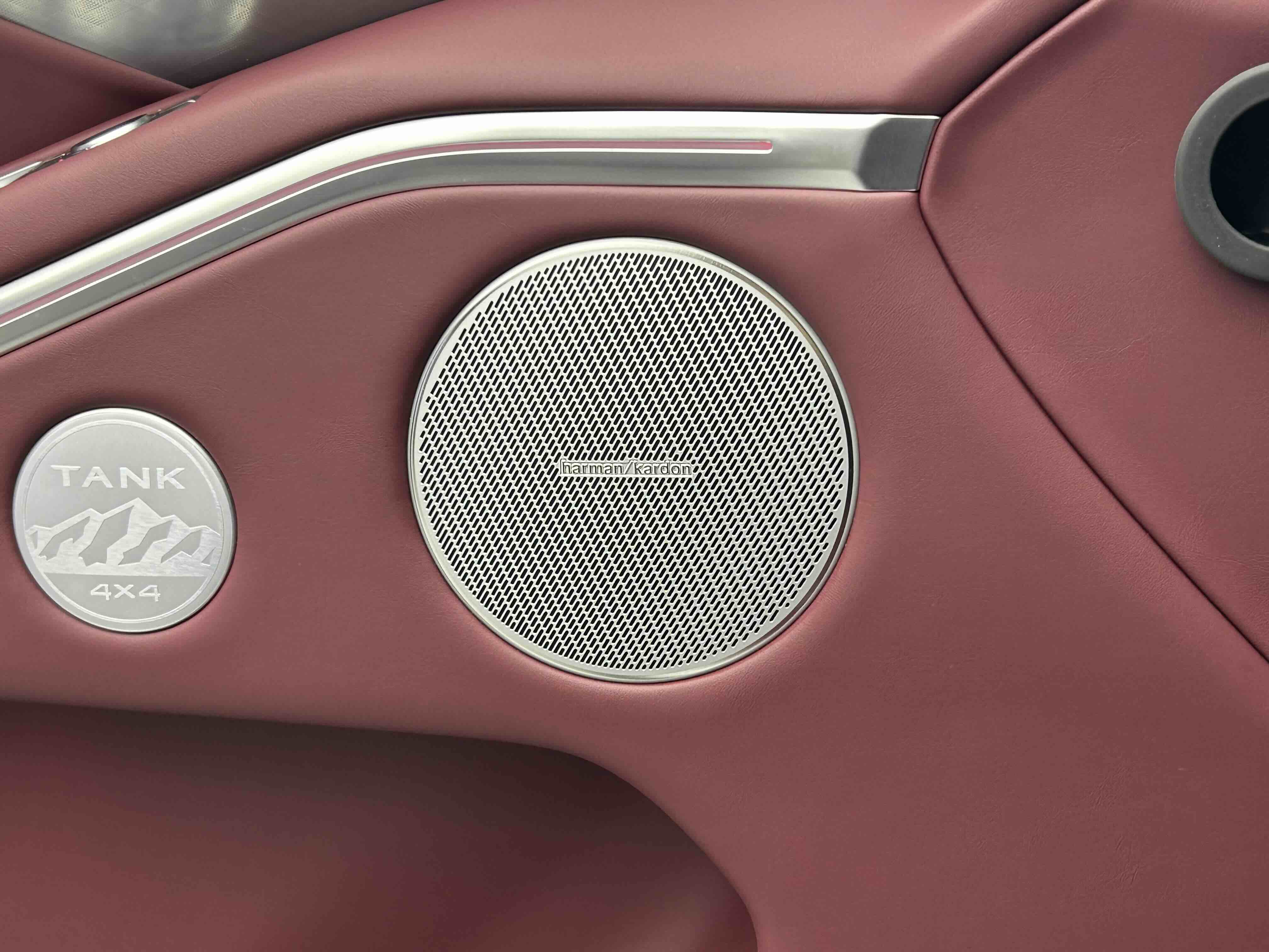 Tank 700 New Energy 2025 #15 Tank 700 New Energy 2025 immagine di auto #15